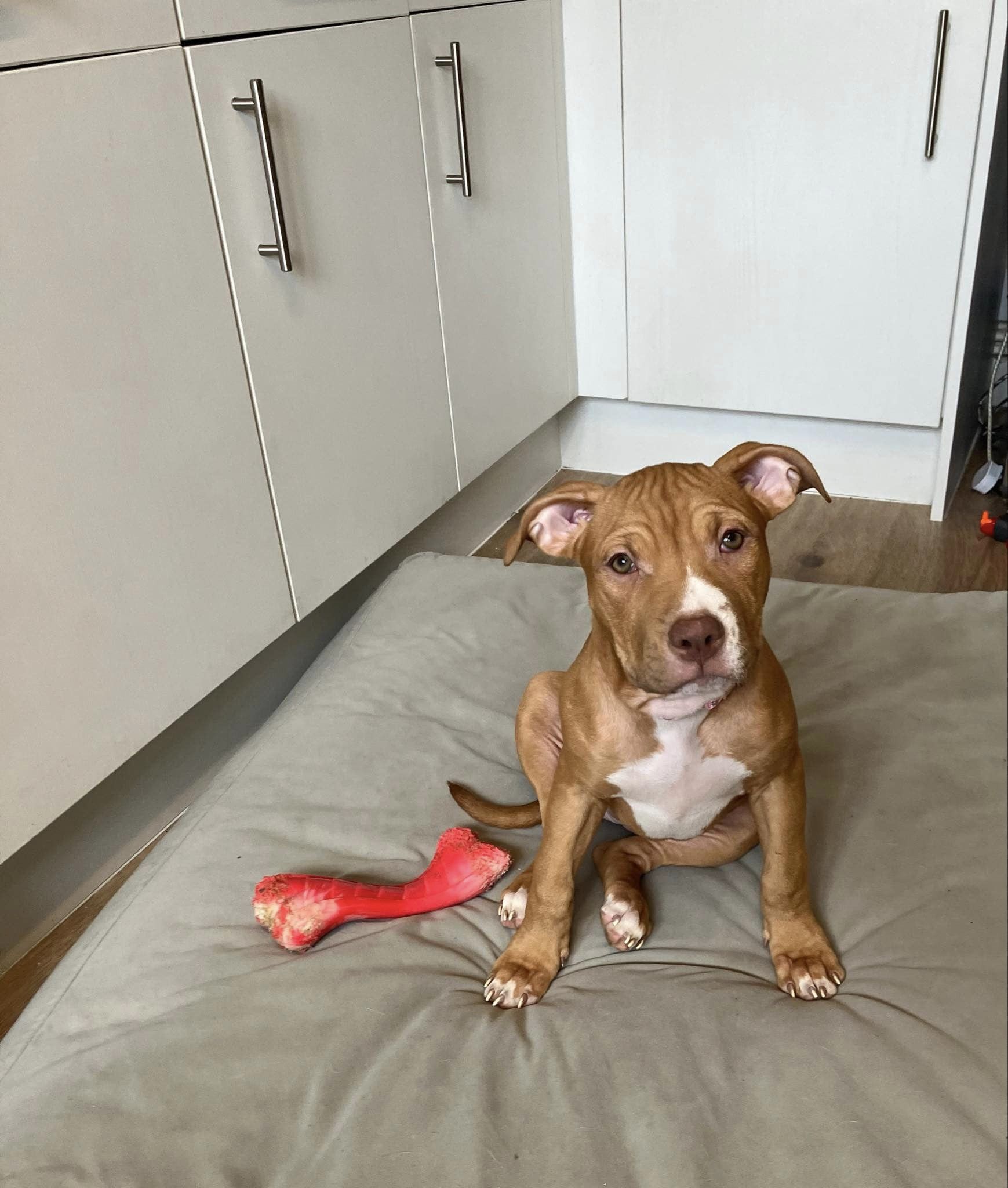 438173984_1023746042572041_6461511268399375353_n