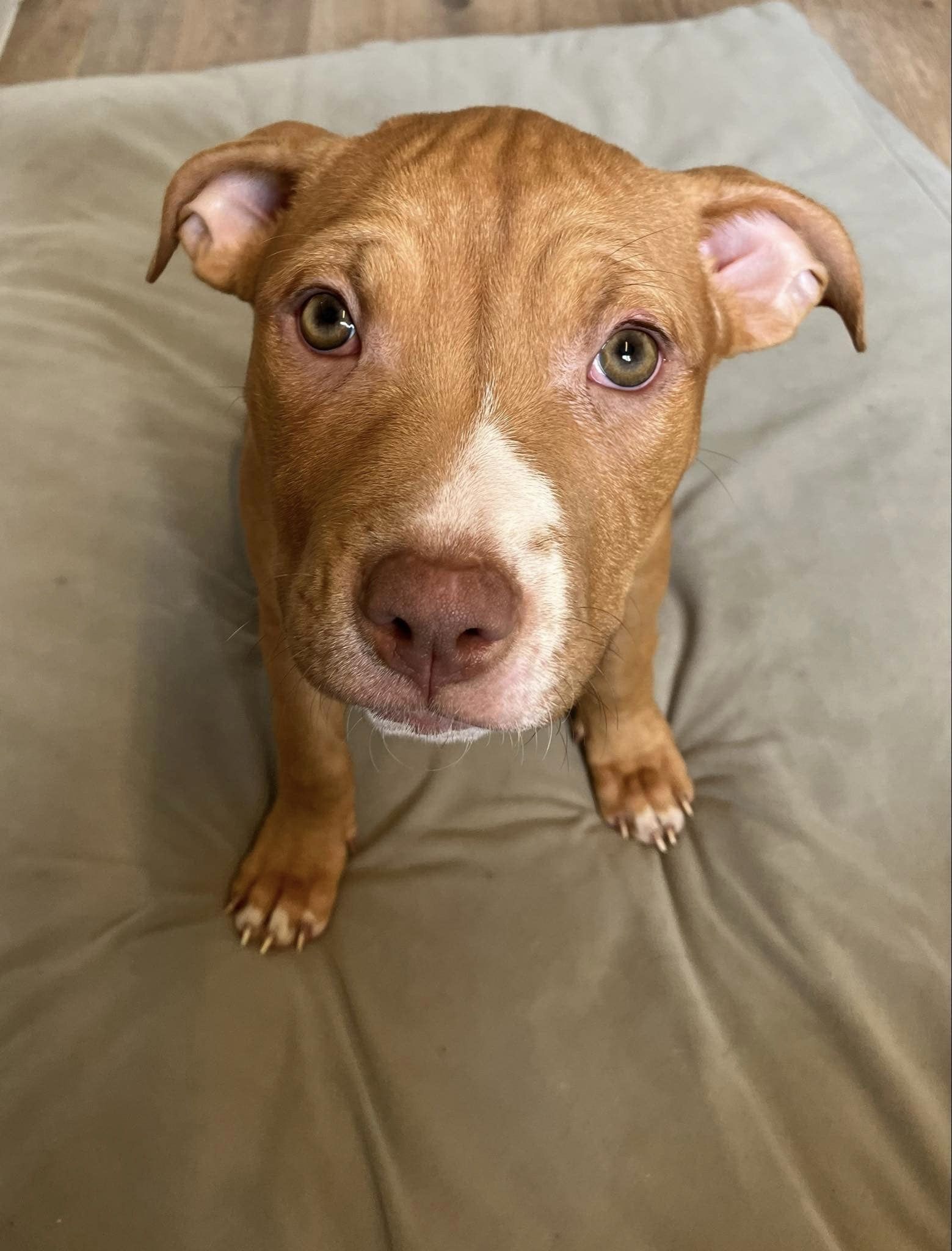 438196552_1023745942572051_7636870214684945969_n