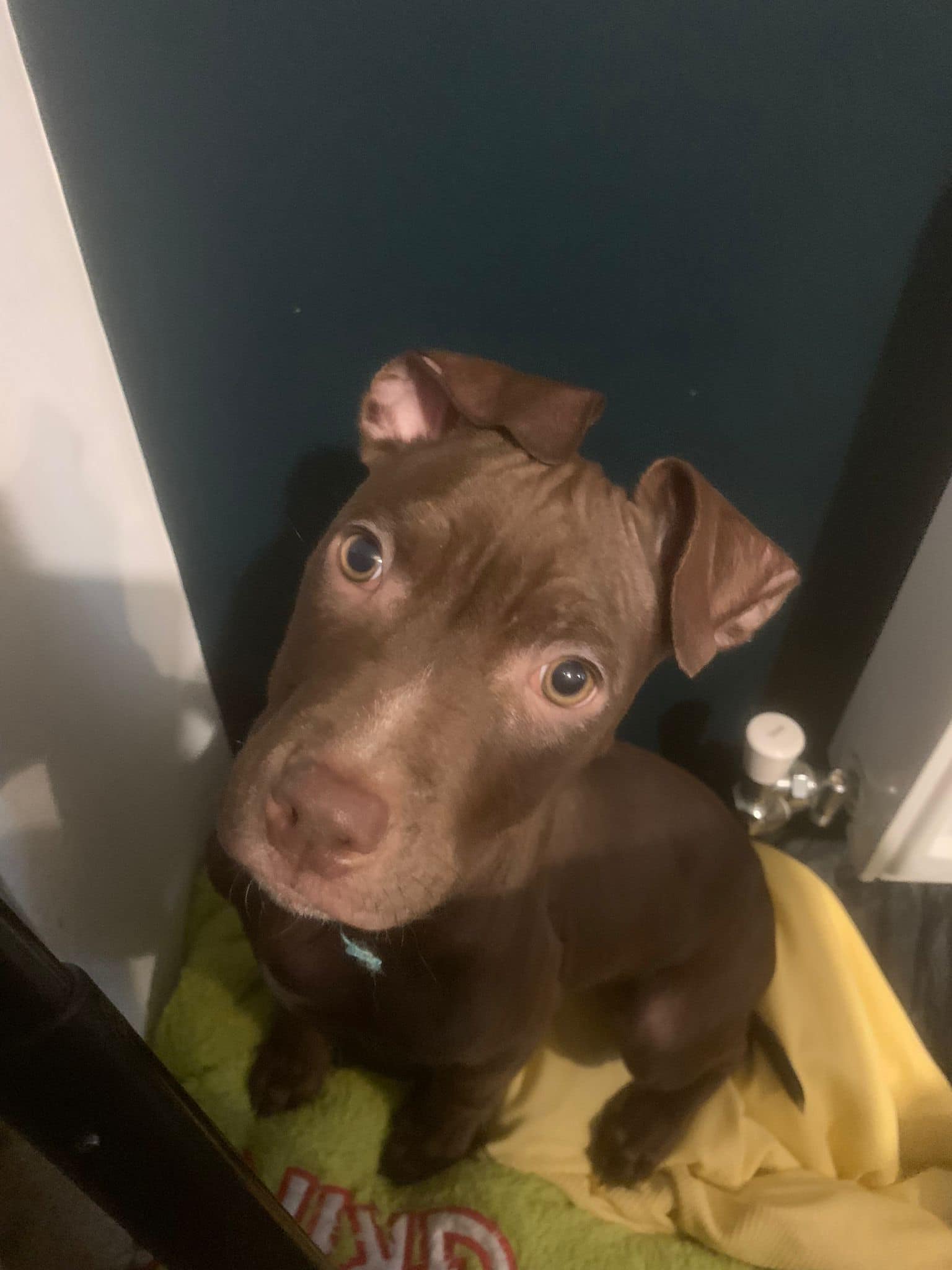 438196991_1021547596125219_8152992161038439326_n