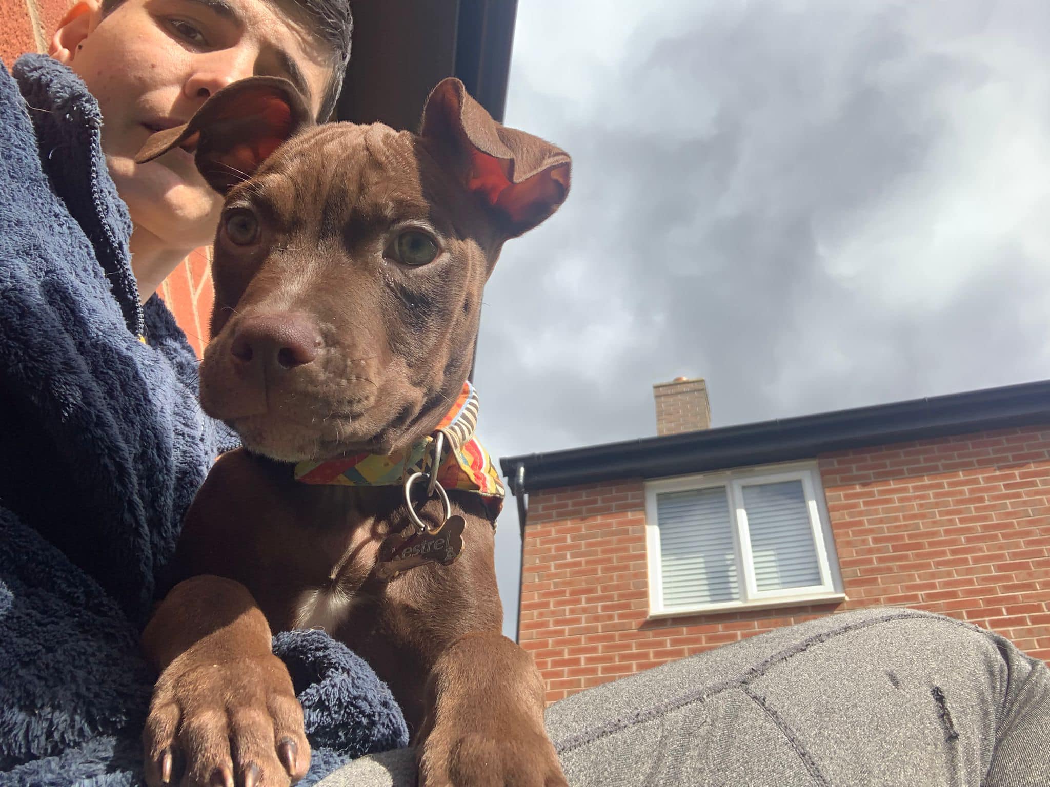 438223103_1021547572791888_6881319910104263494_n