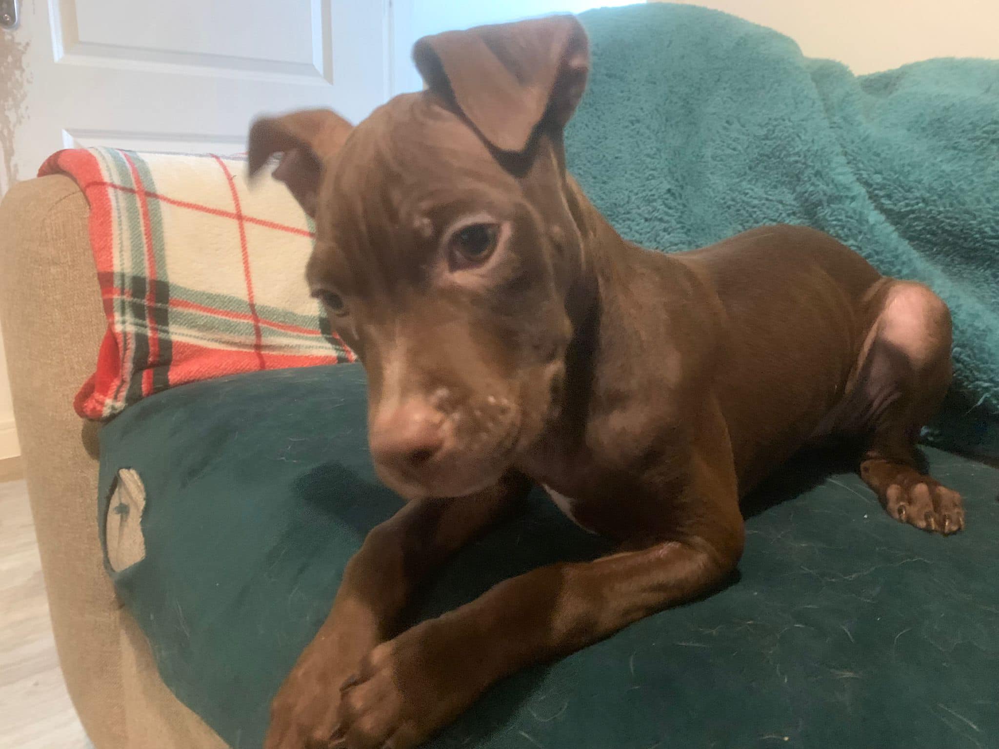 438224718_1021547609458551_662549790954653373_n