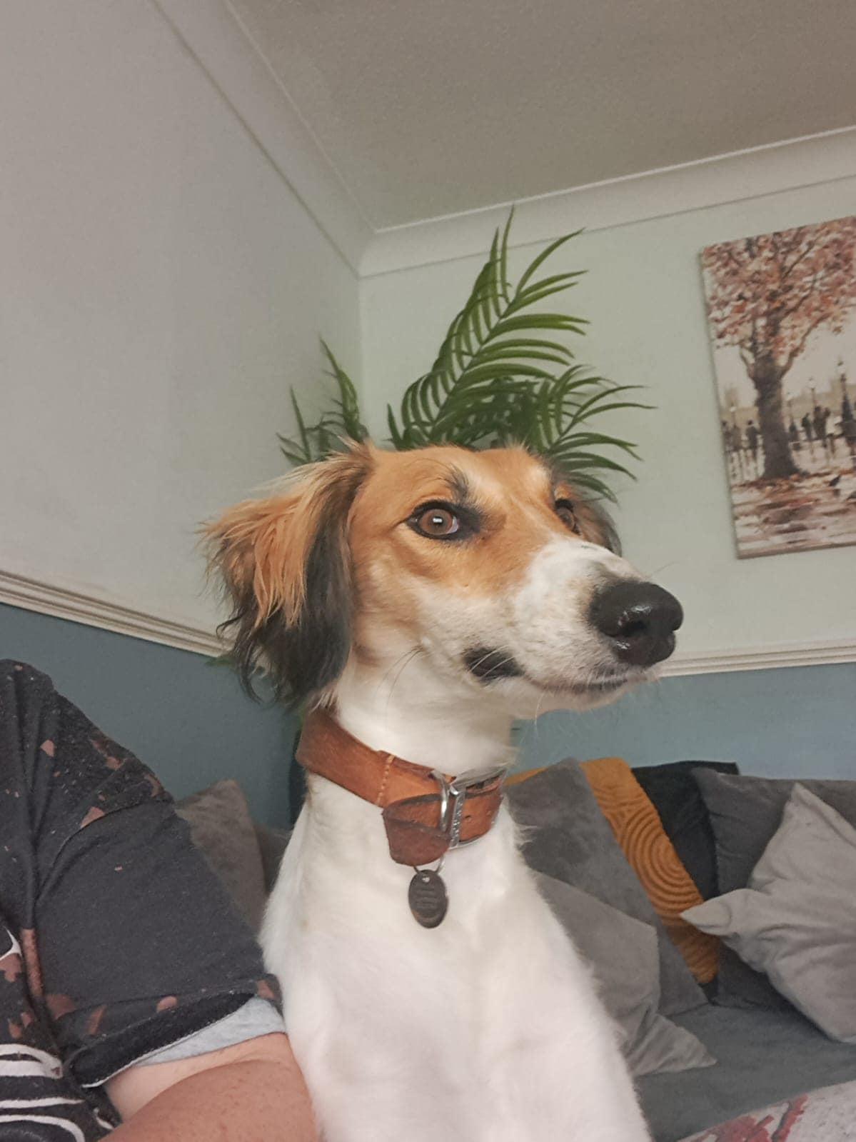 438238610_1021845809428731_5867797295225918888_n