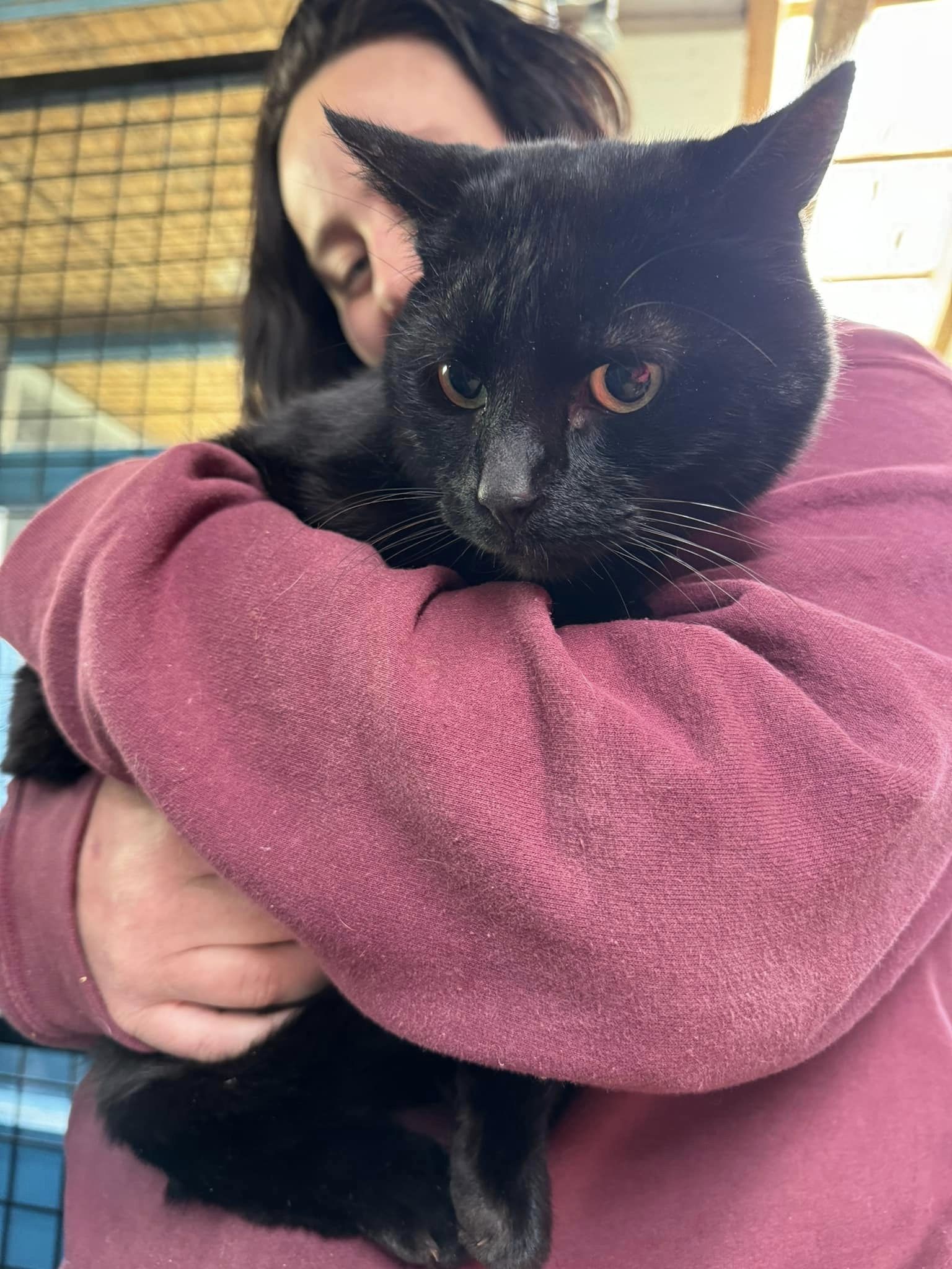 438240878_1021583636121615_6666058240779715441_n