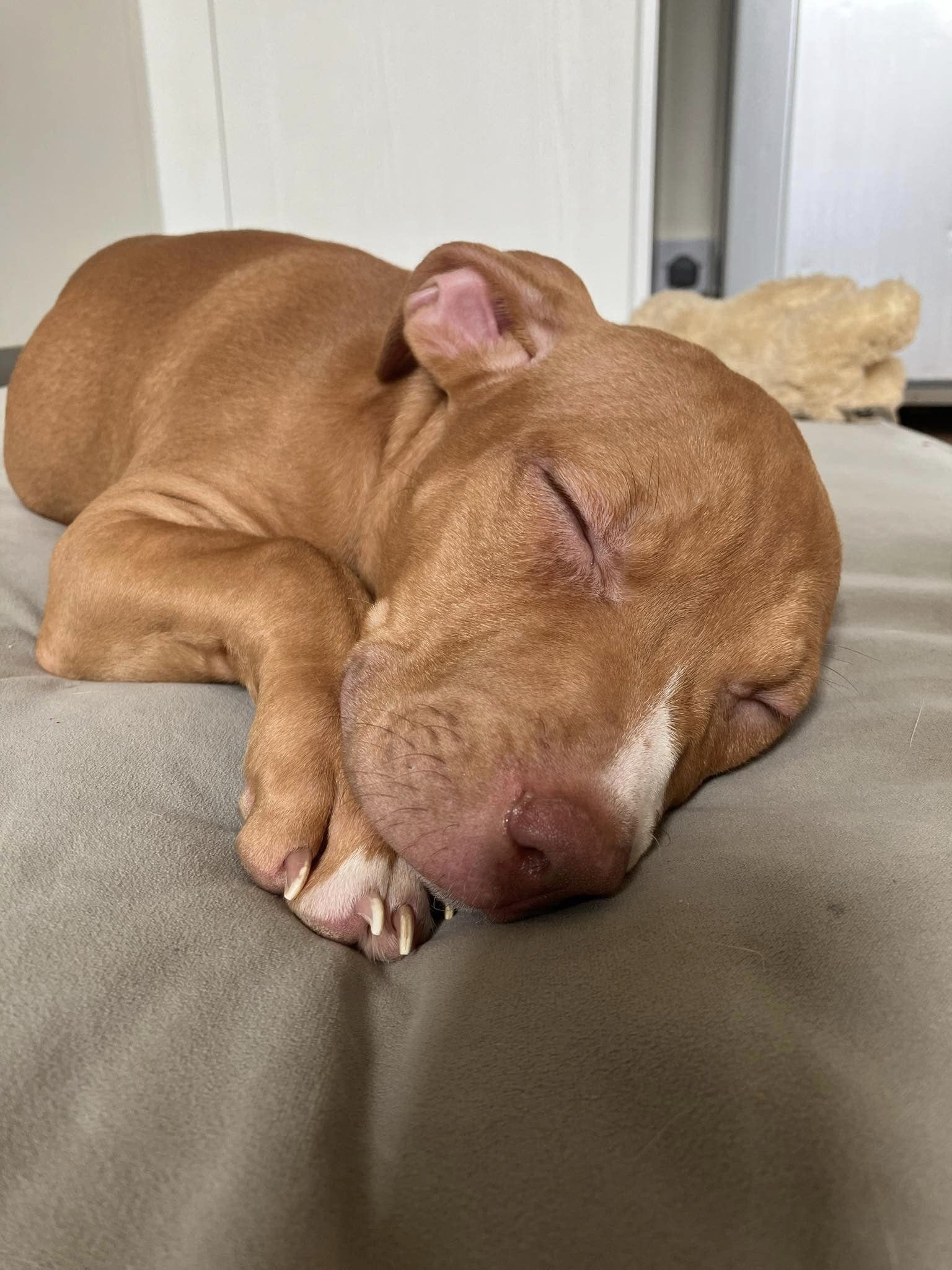 438253910_1023745492572096_1729744355783541605_n