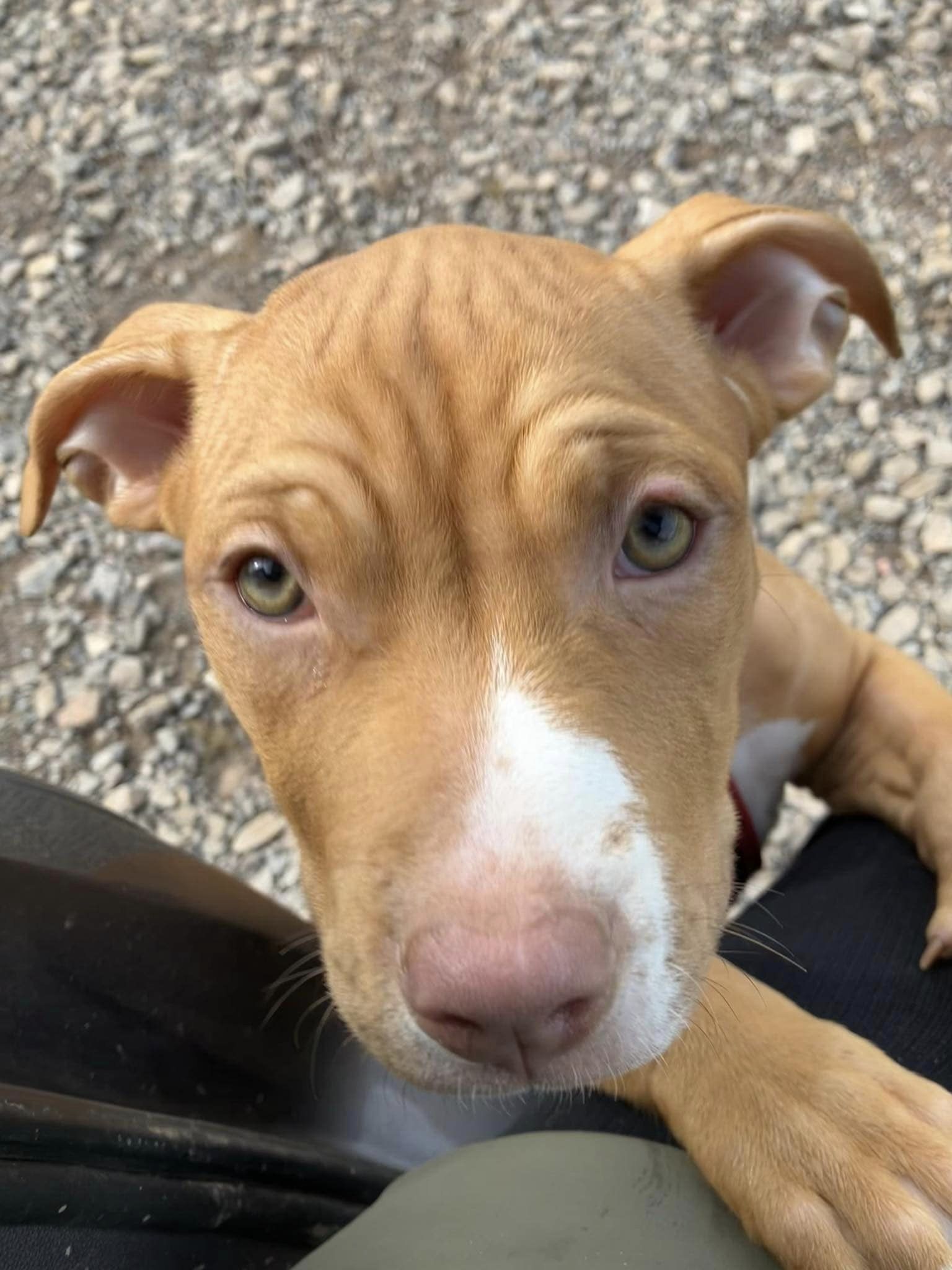 438254128_1023745502572095_2970792307151905984_n