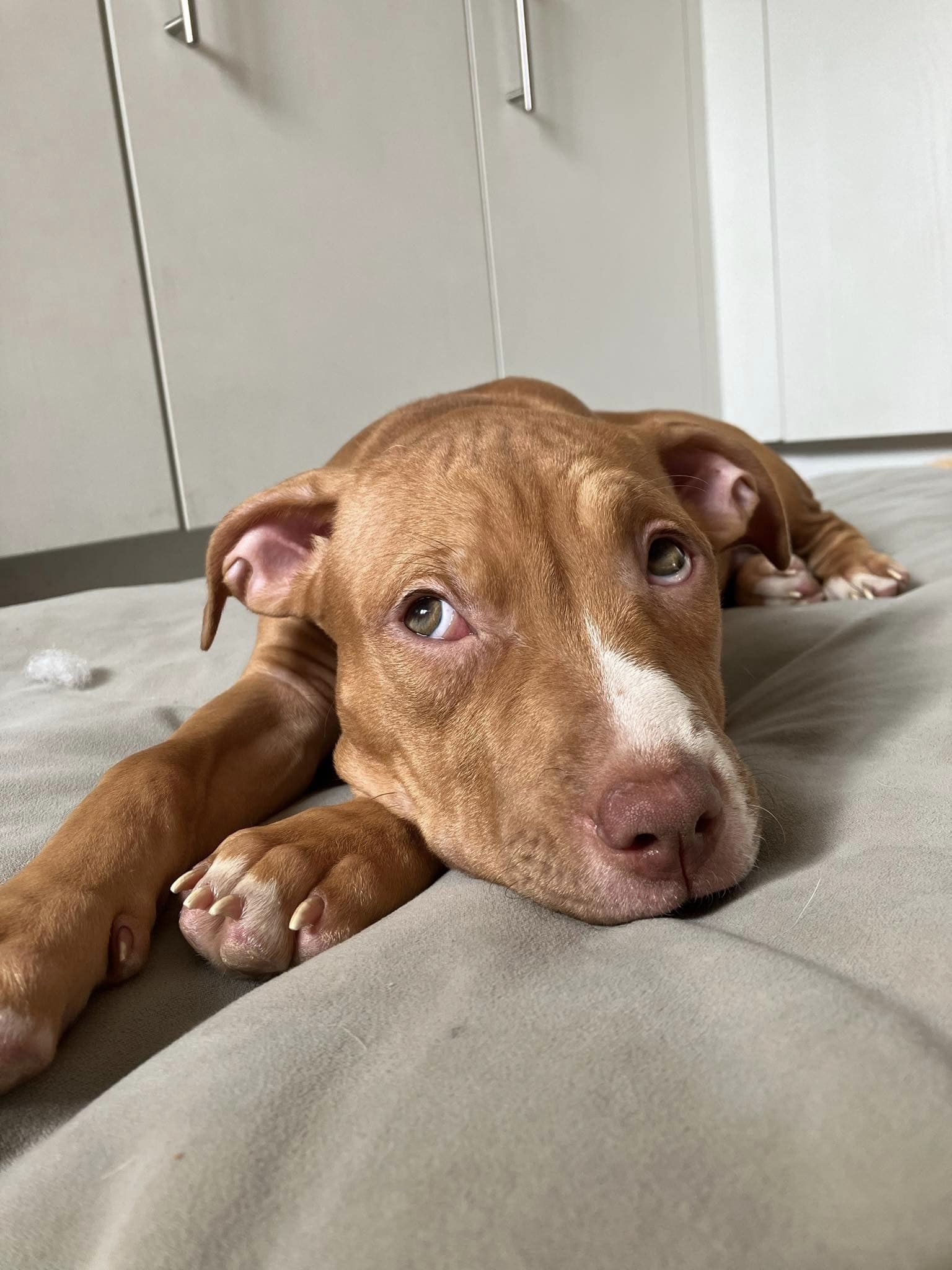 438255515_1023745872572058_9170705290880841068_n