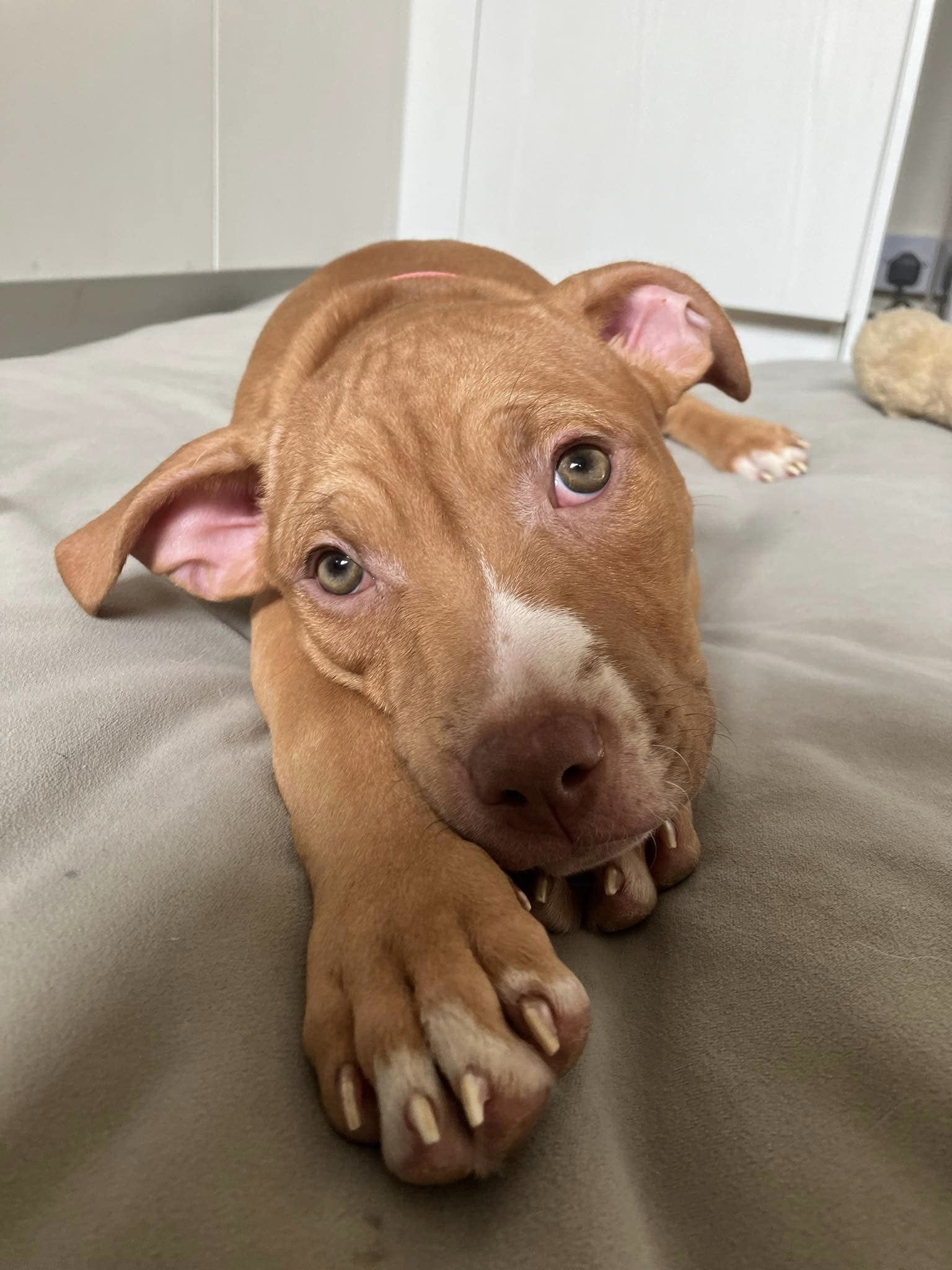 438256073_1023746059238706_8075760546944864045_n