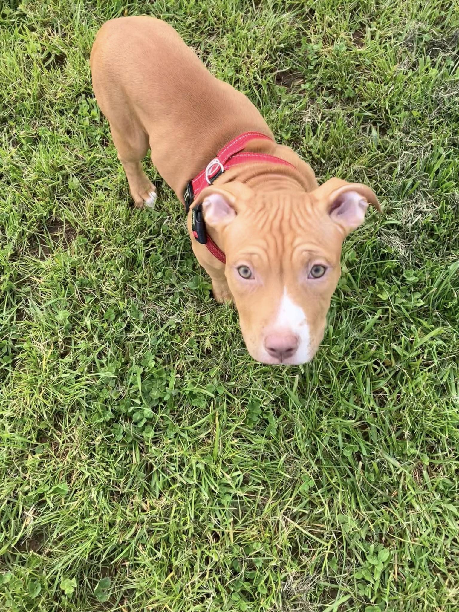 438263351_1023745889238723_7737076217416896351_n