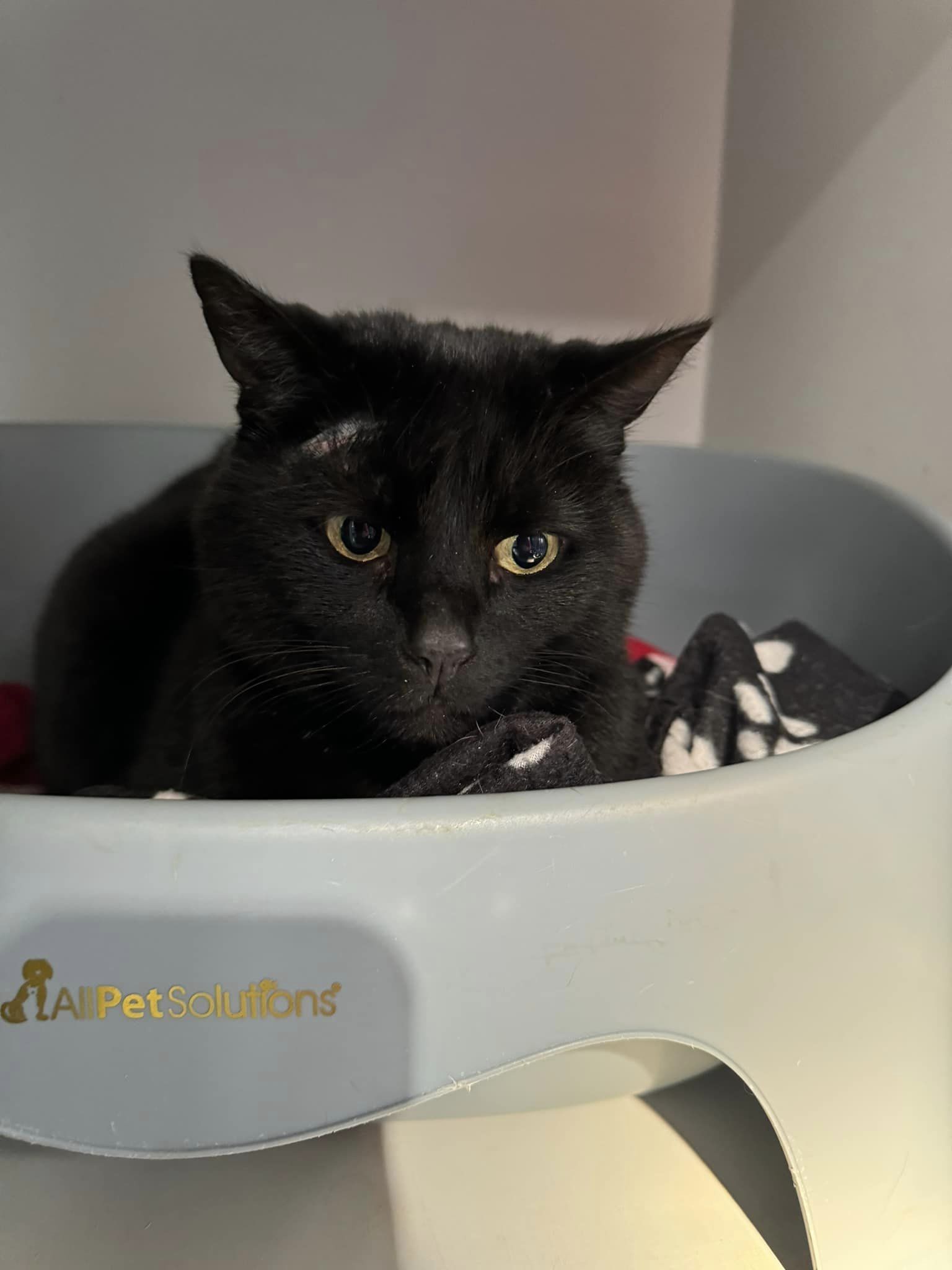 438300681_1021583616121617_374213327912040834_n