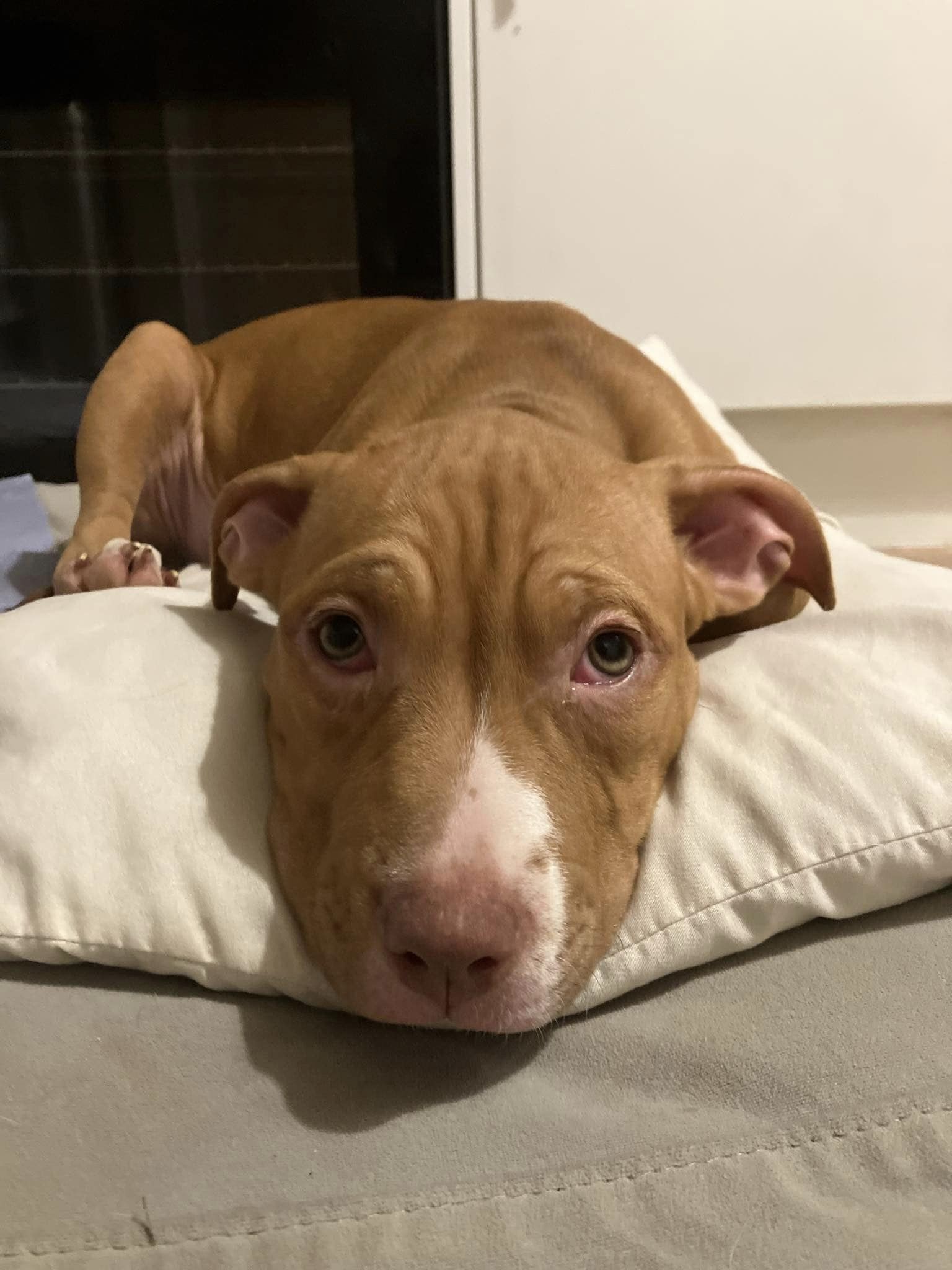 438300692_1023745962572049_894436306057705062_n