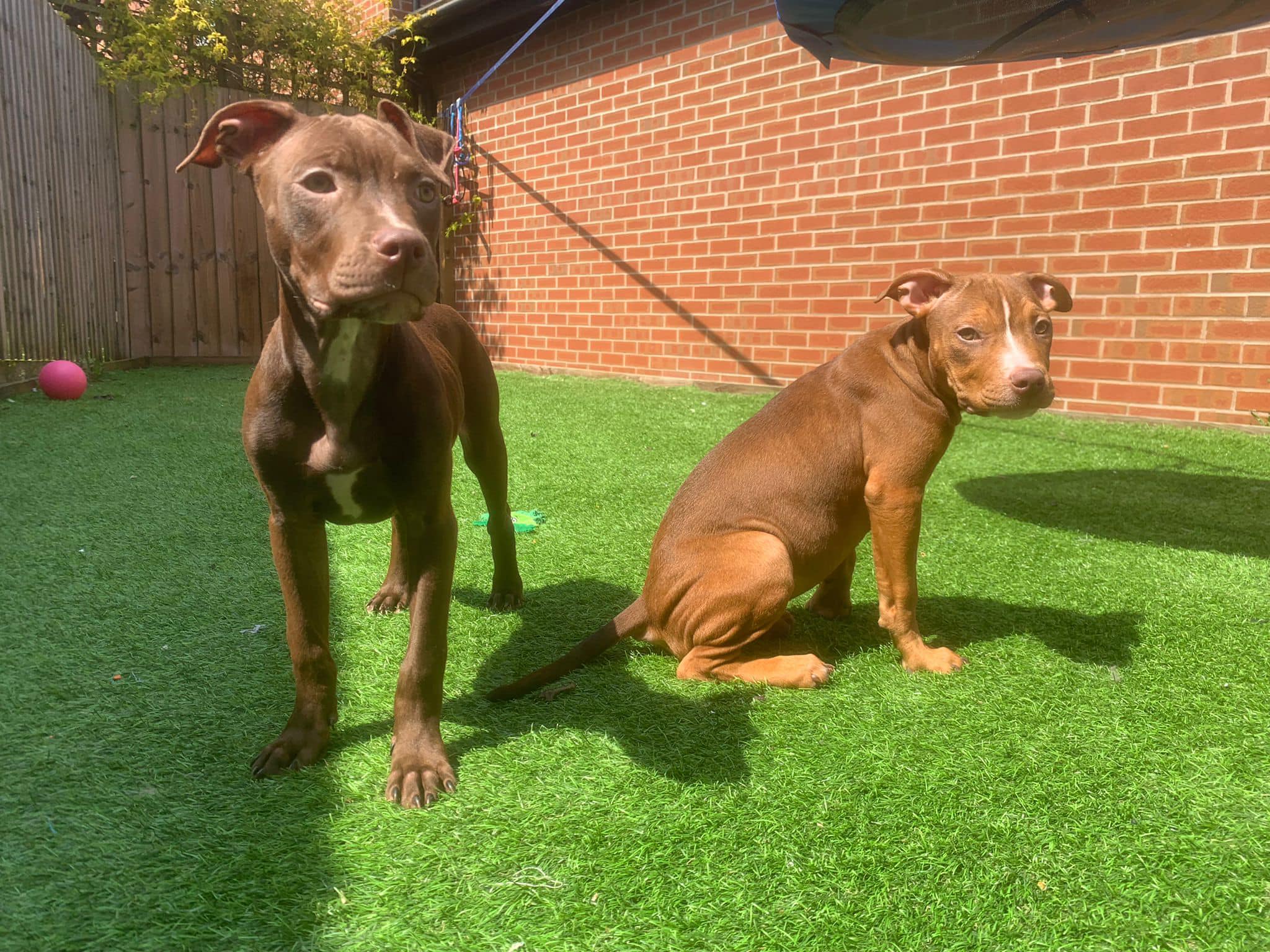 438206265_1029621238651188_899250465698766542_n