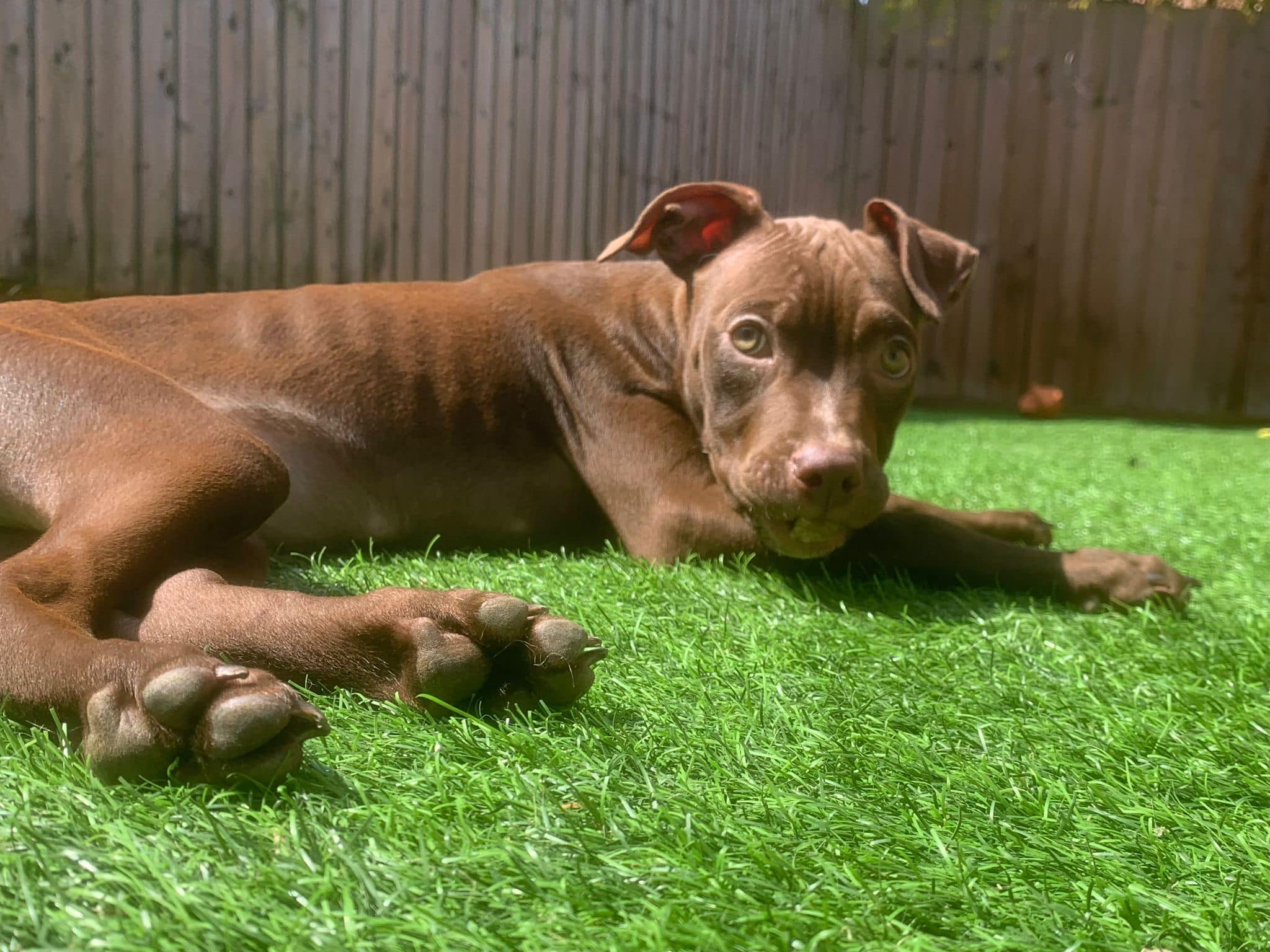 438264010_1029621281984517_8544271577733032292_n