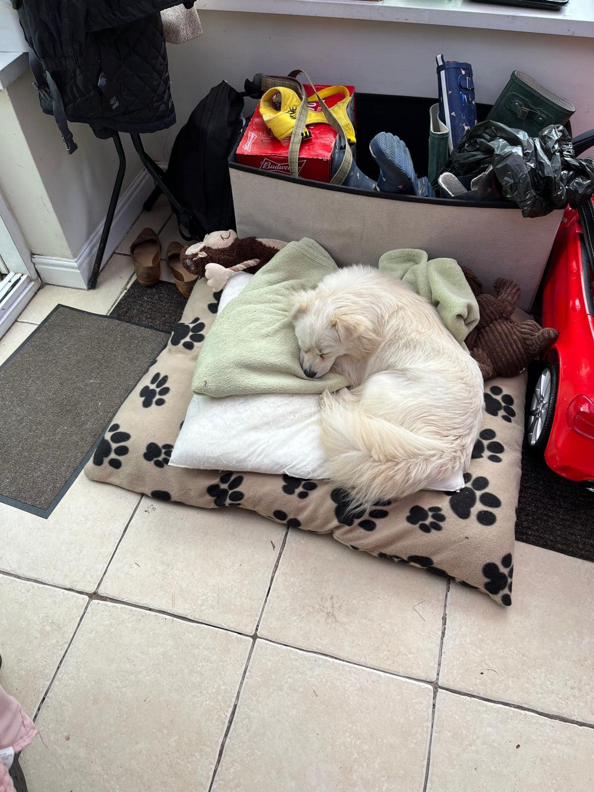 438276005_1044076960538949_5034773473135999851_n