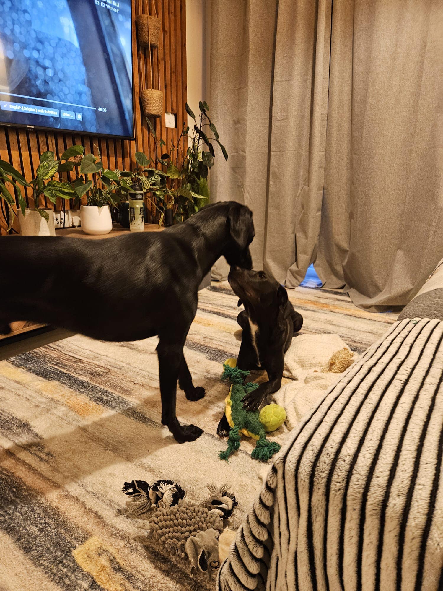 438298977_1044917577121554_788828171302016560_n