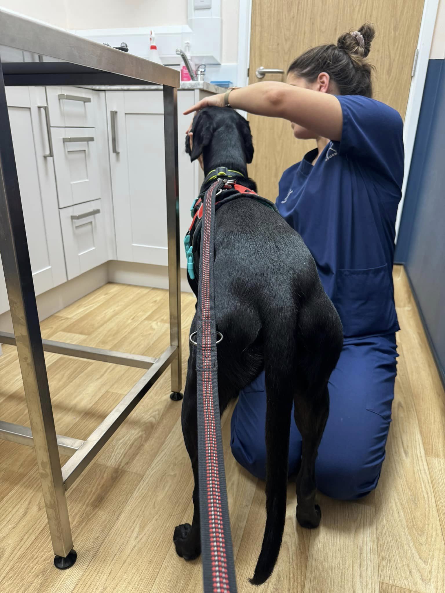 438299333_1044917997121512_3283996846506441955_n