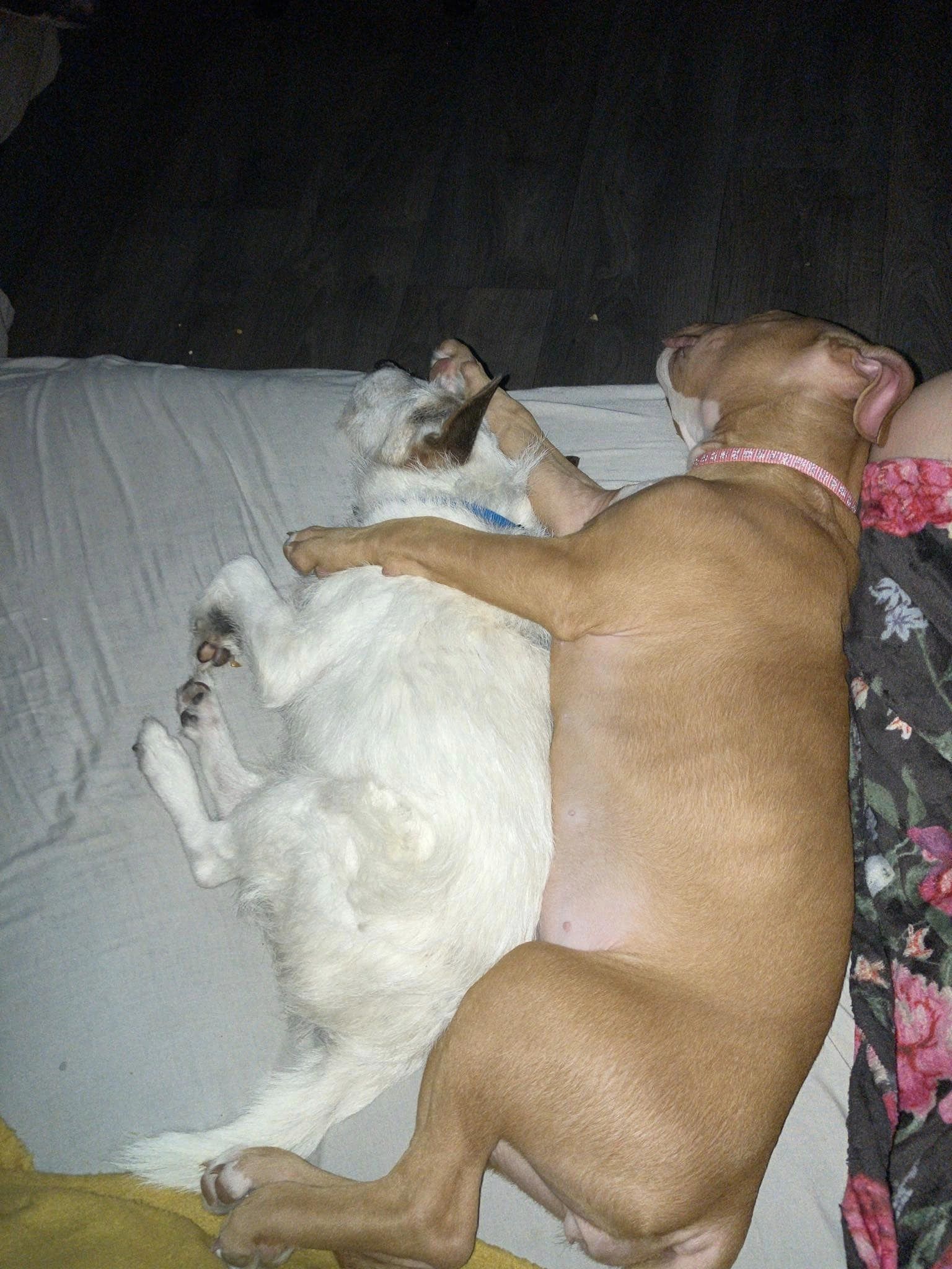 440934285_1030248968588415_6916182777791412527_n