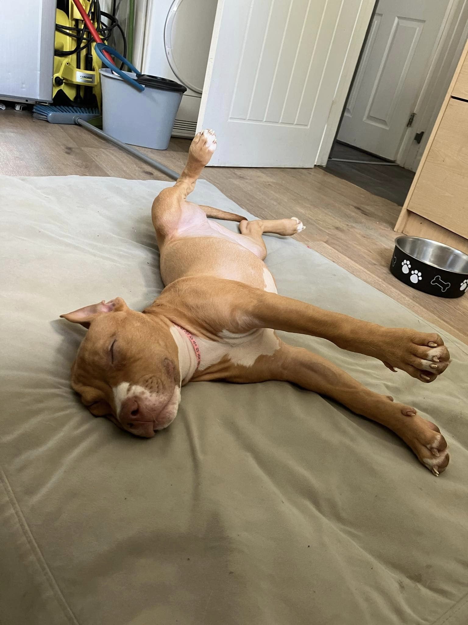 440937179_1030248985255080_761765764450045112_n