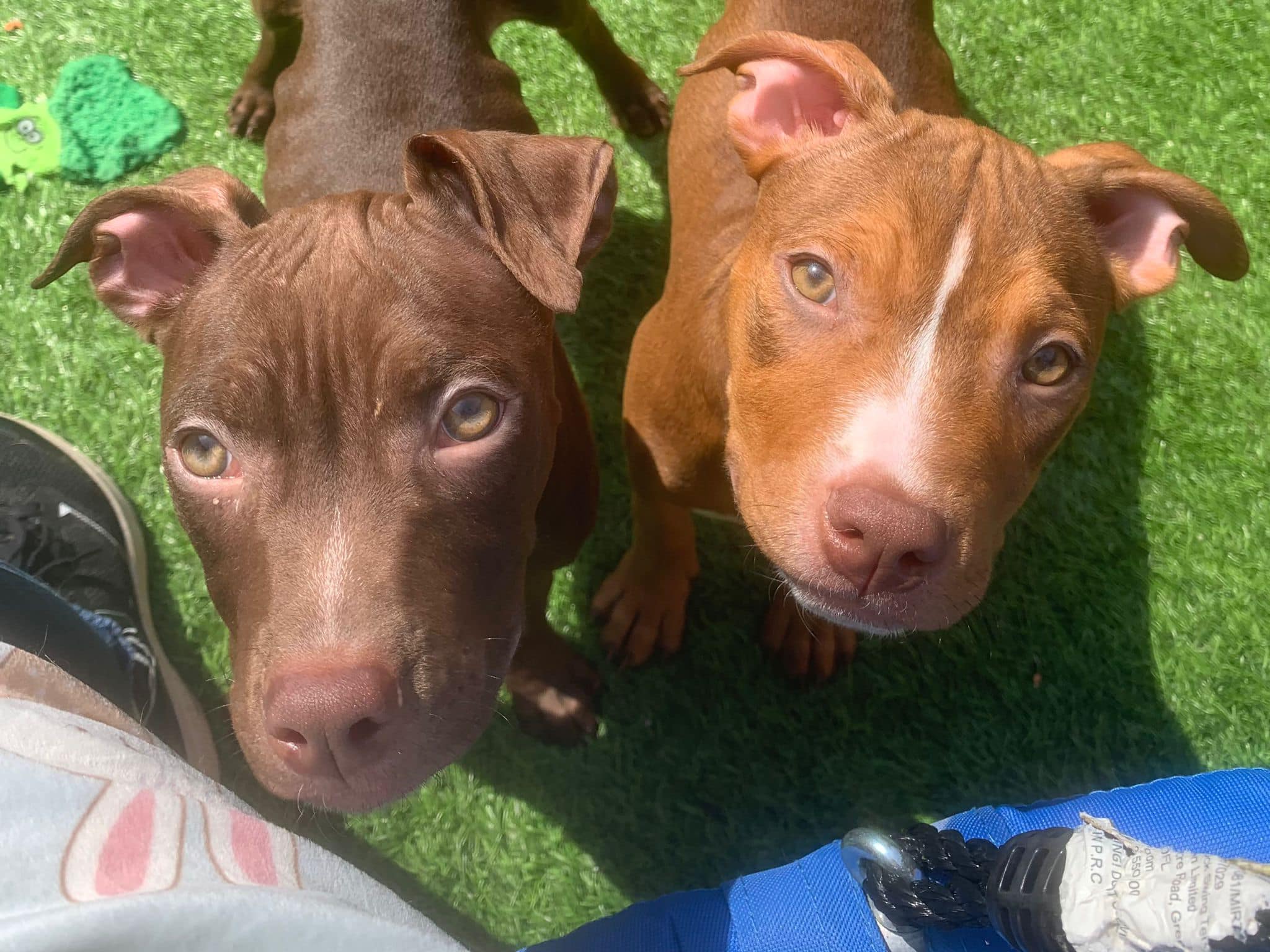 440945251_1029621258651186_2795820992360219064_n