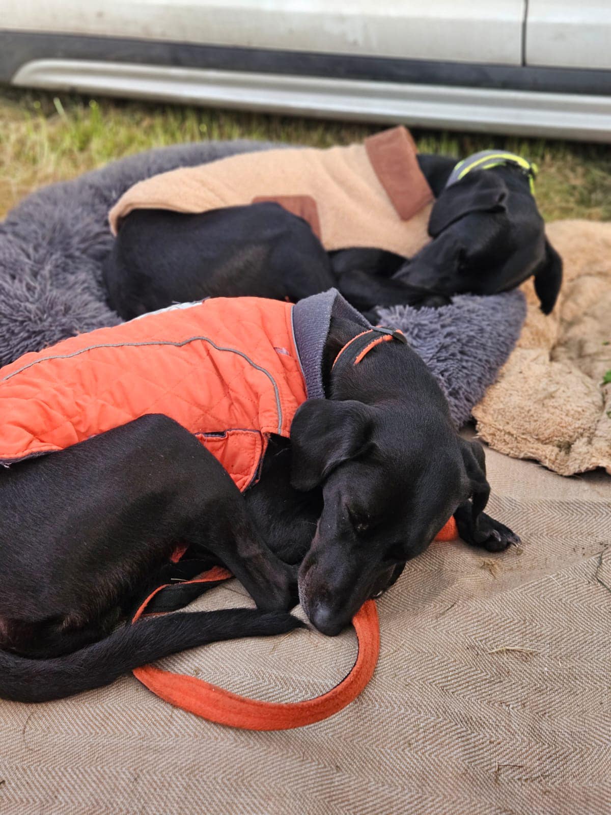 441183351_1043274483952530_4551501896932700778_n