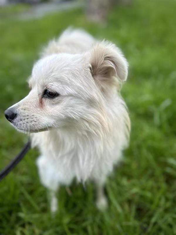 441199992_1039783130968332_4364317242961204981_n