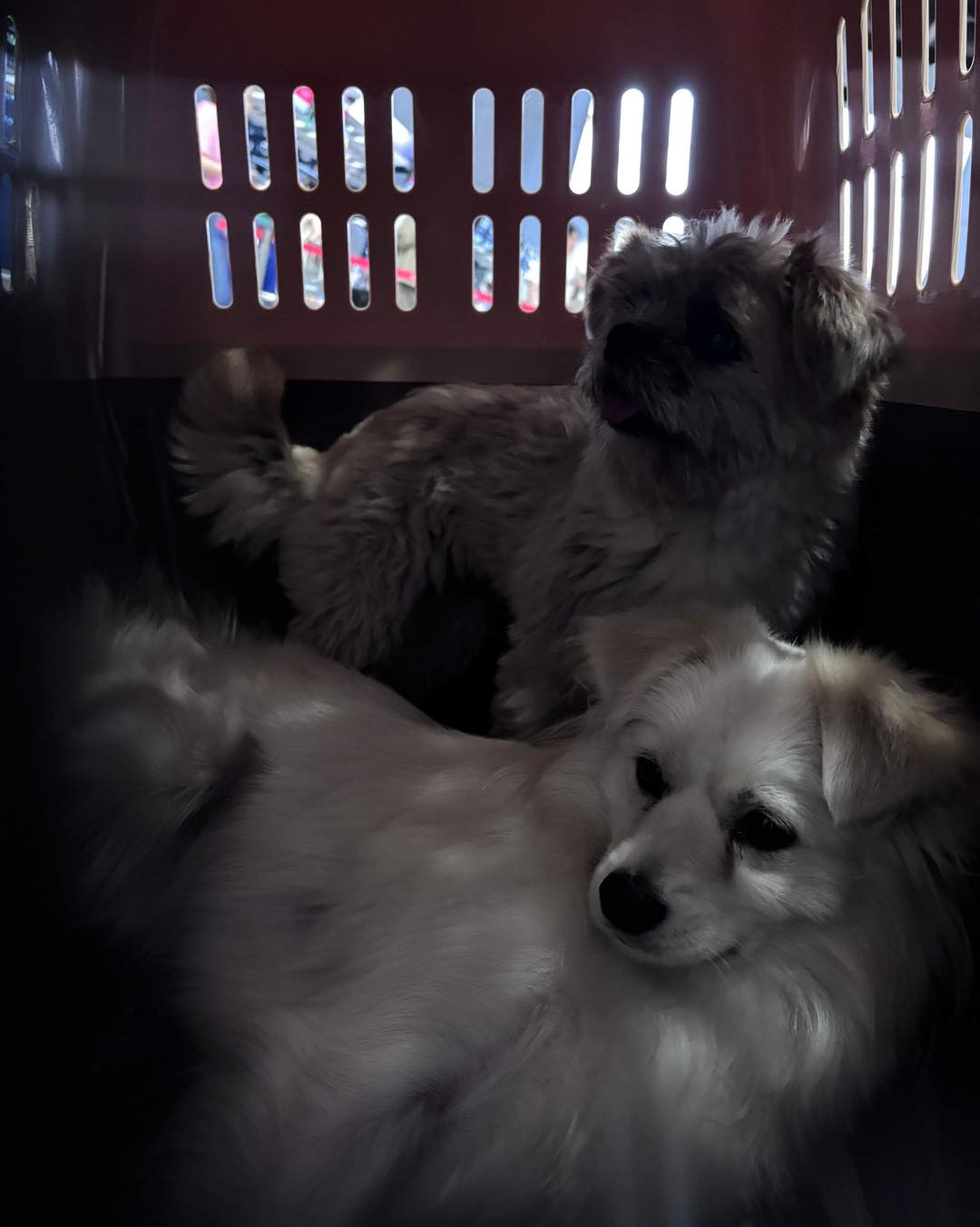 441227288_1039044851042160_589365792605581618_n (1)