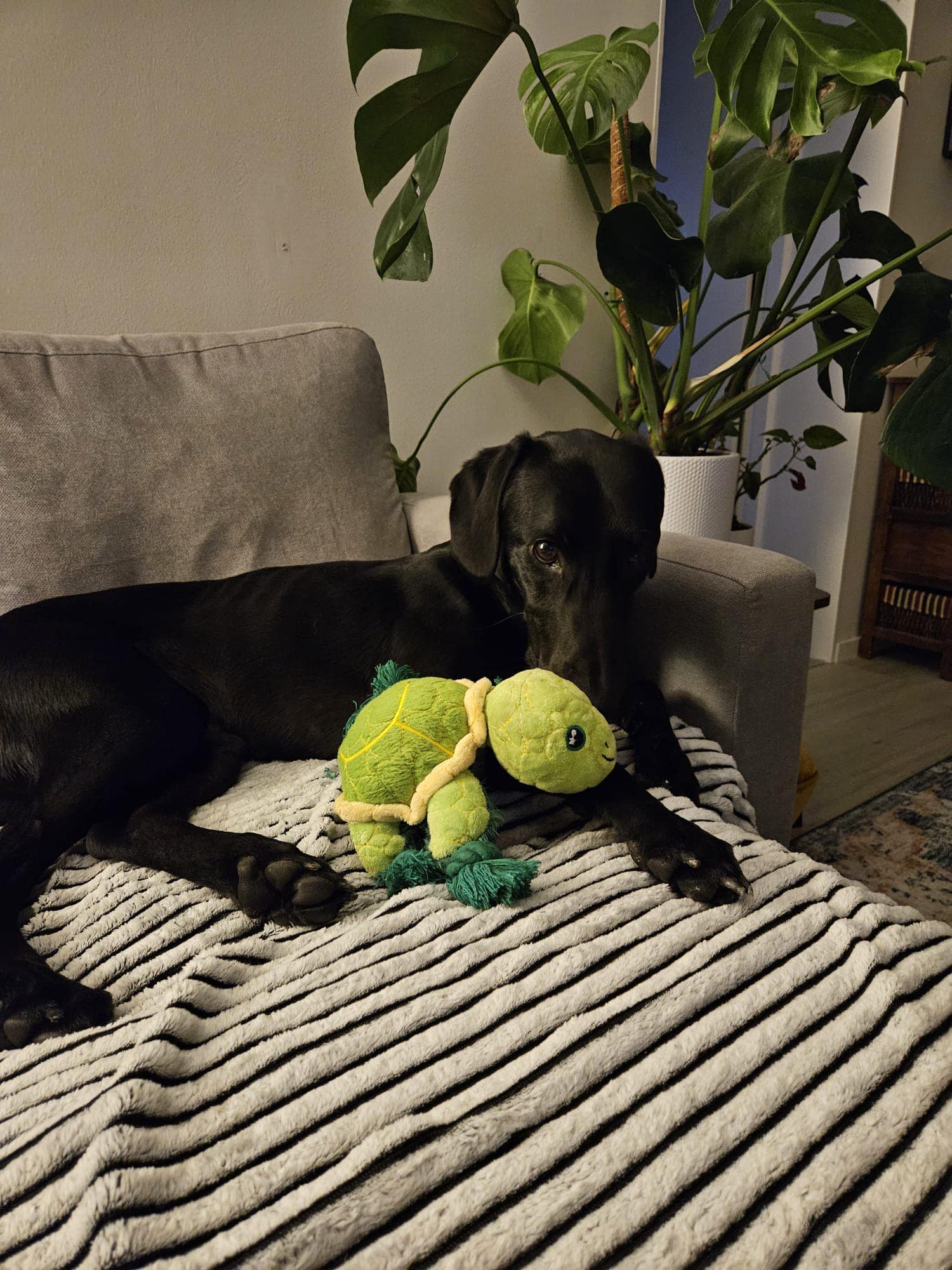 441578305_1044918143788164_8516975522256265297_n