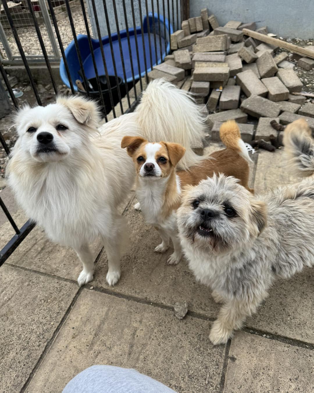 443837443_1040741767539135_461679666843059171_n