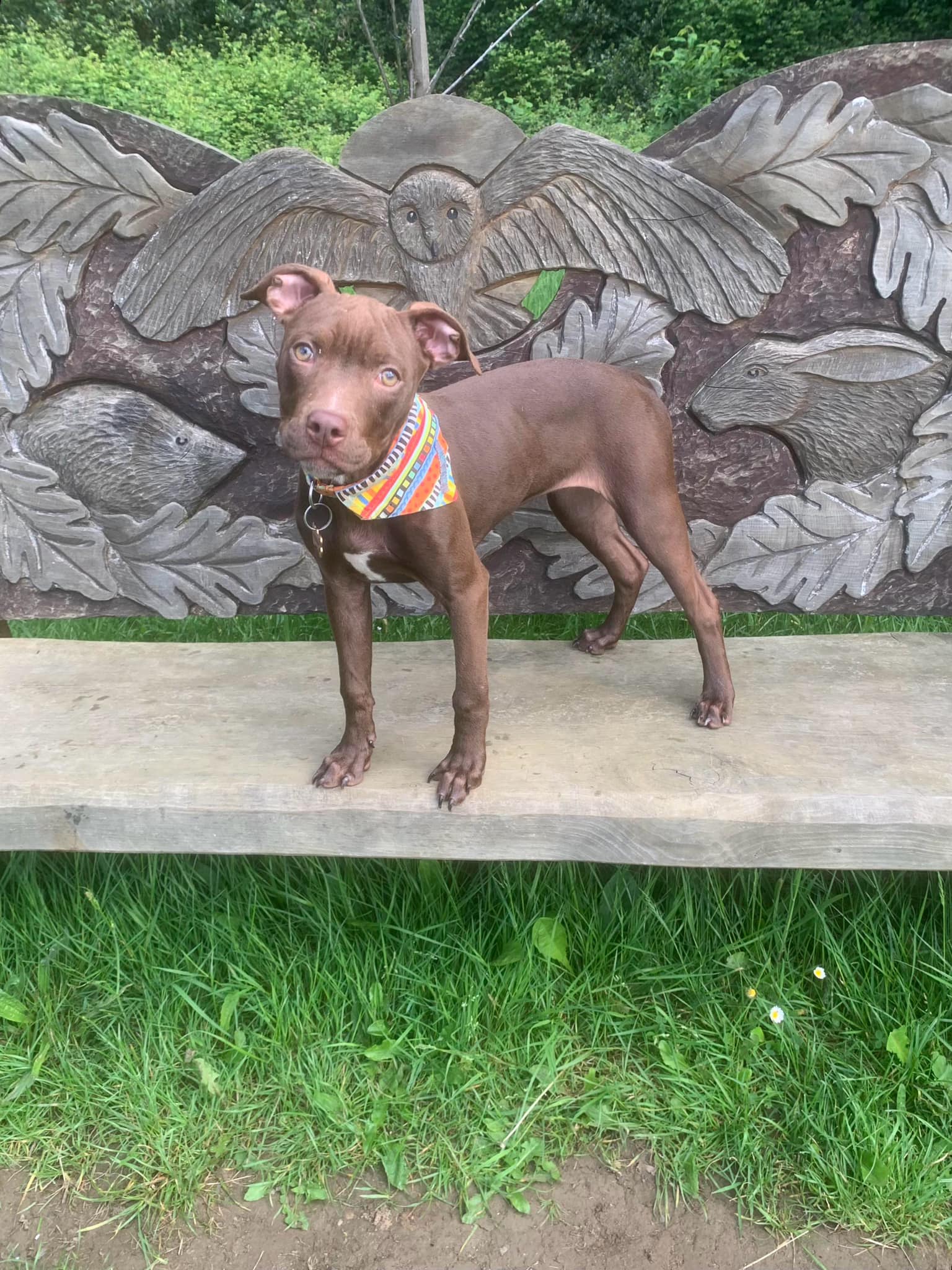 444204862_1041916344088344_5995754867965418351_n