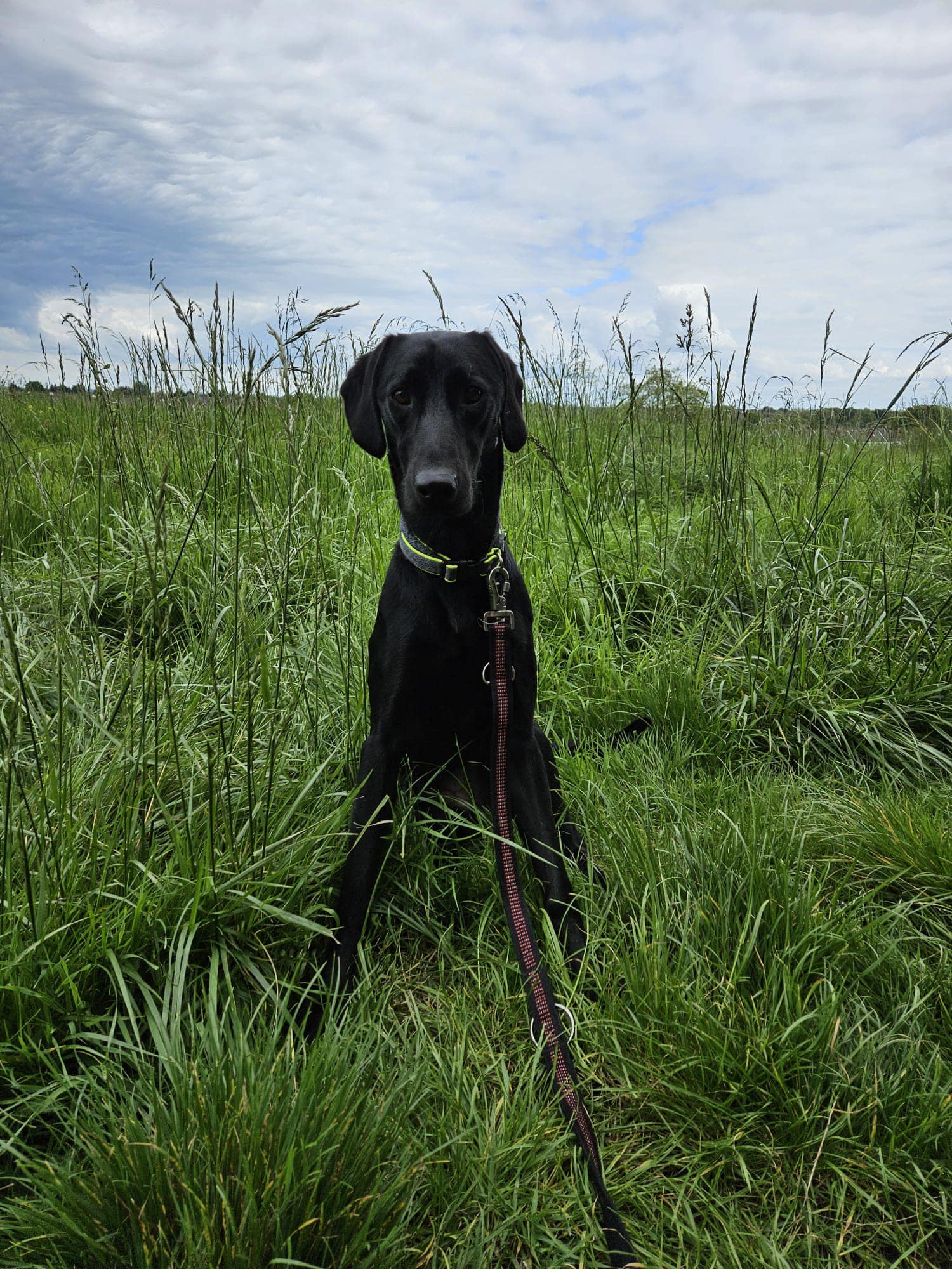 444500255_1044917223788256_1997908295178812330_n