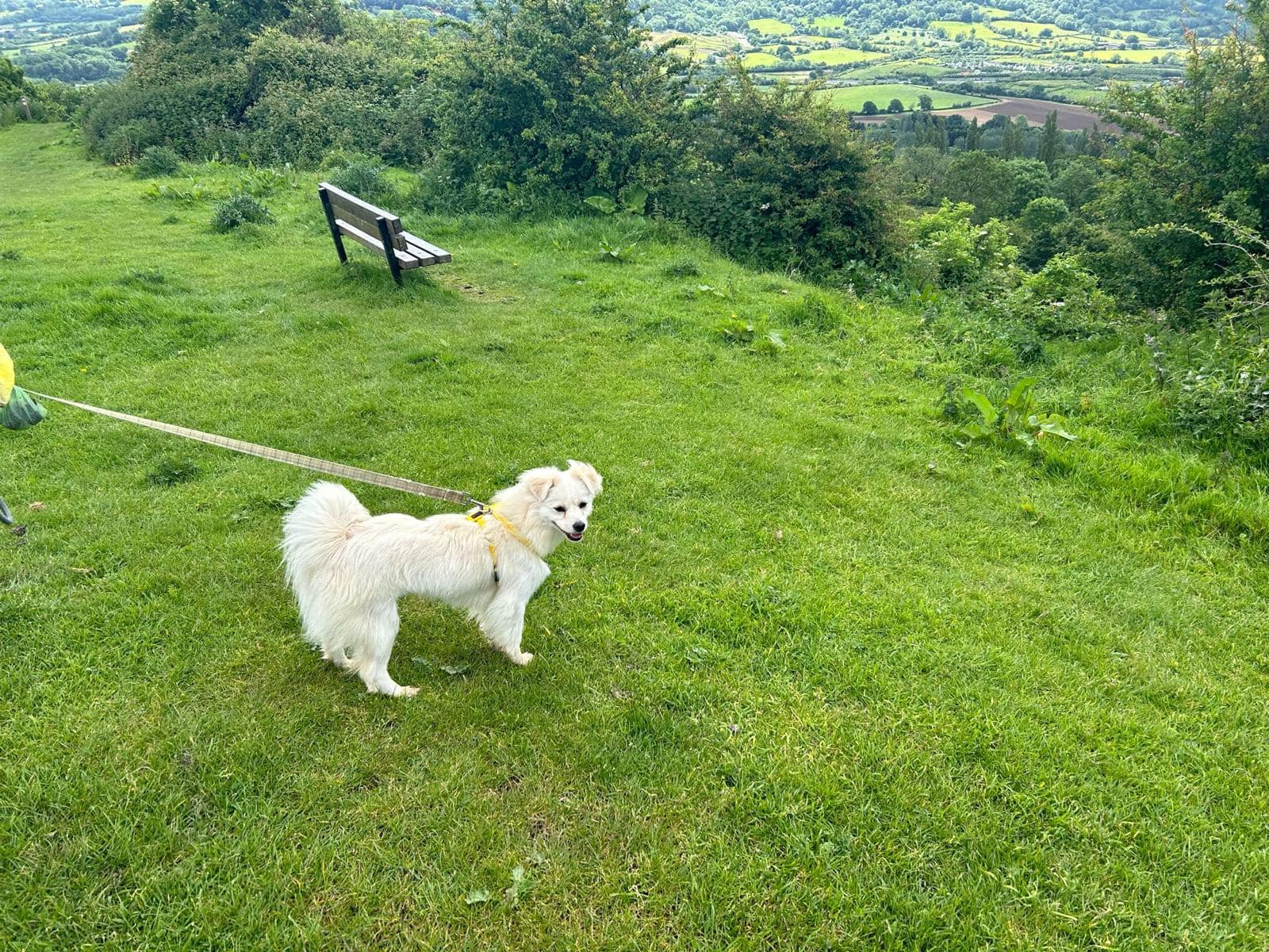 445228823_1044076950538950_6789786834340612609_n