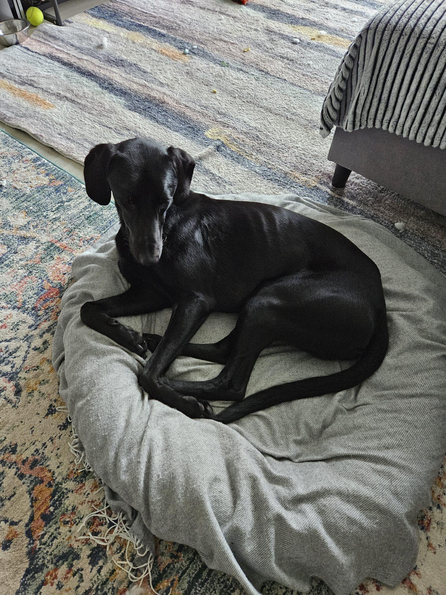 445234577_1044918080454837_2659439521637293459_n