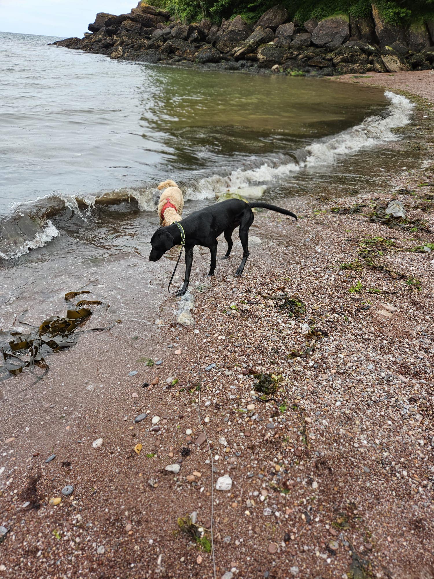 445351348_1043277977285514_6927289128415239991_n