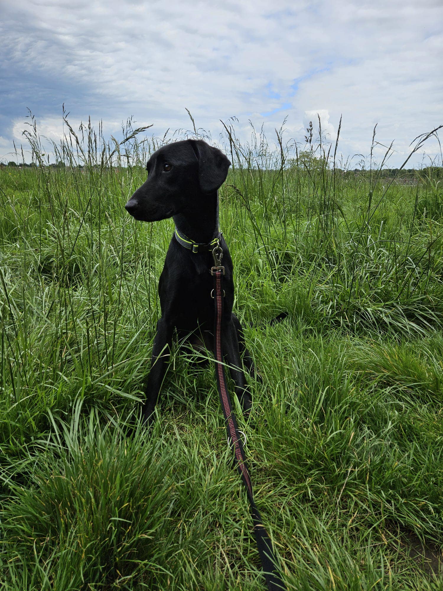 445352342_1044918130454832_6221589370286374490_n