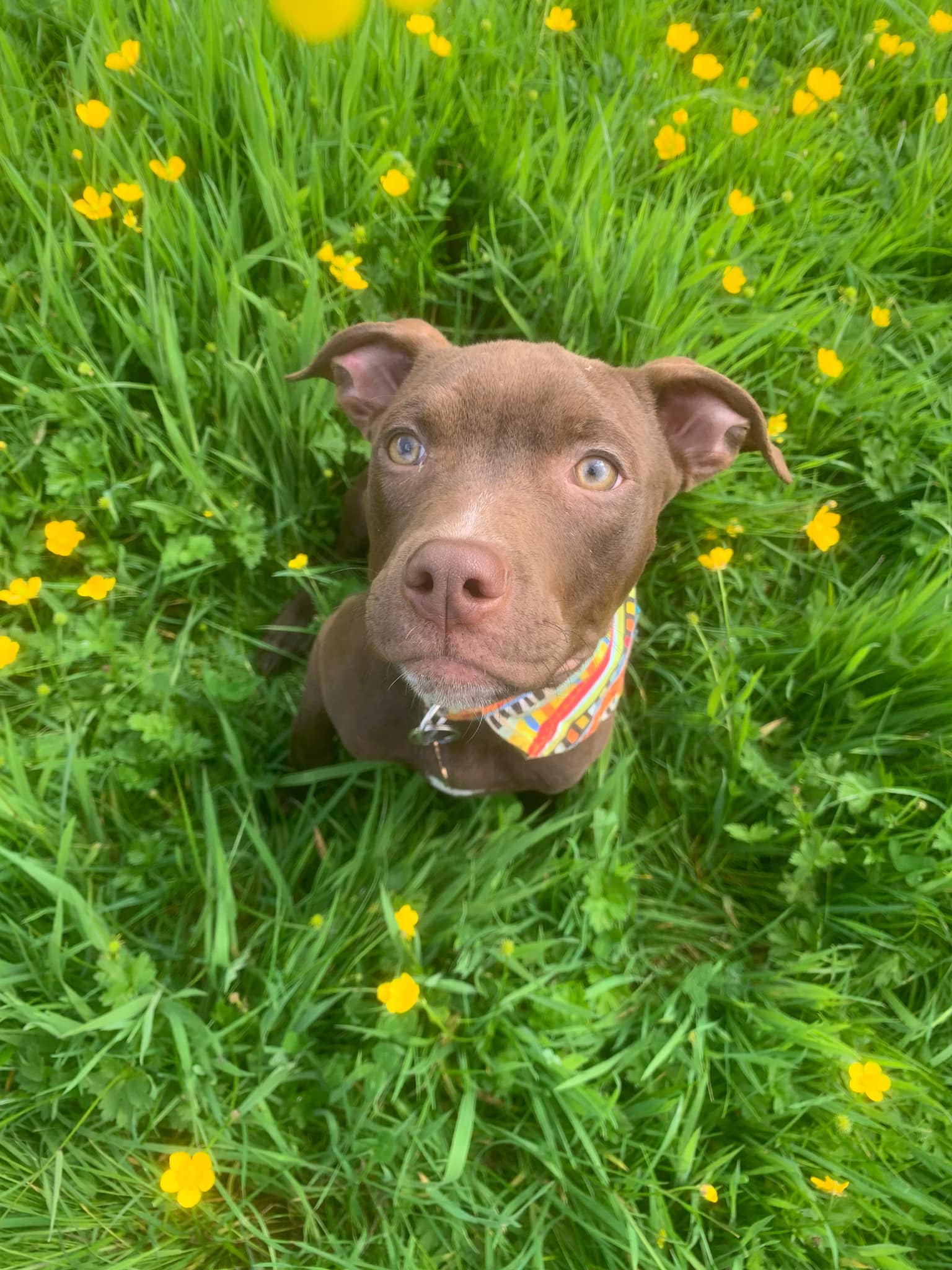 445512767_1041916334088345_3486021767390929308_n