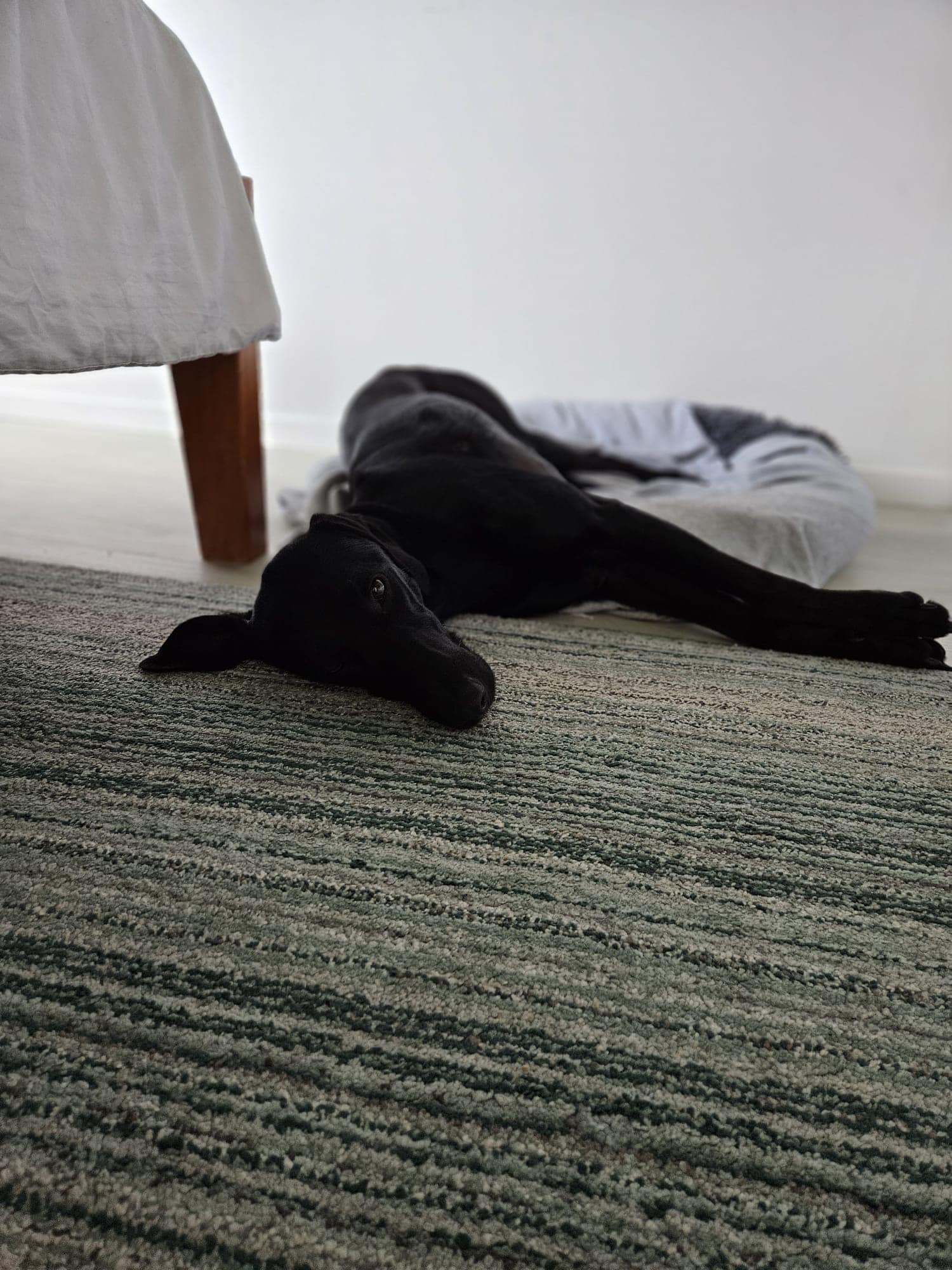 446863592_1044918050454840_5424814008372045853_n