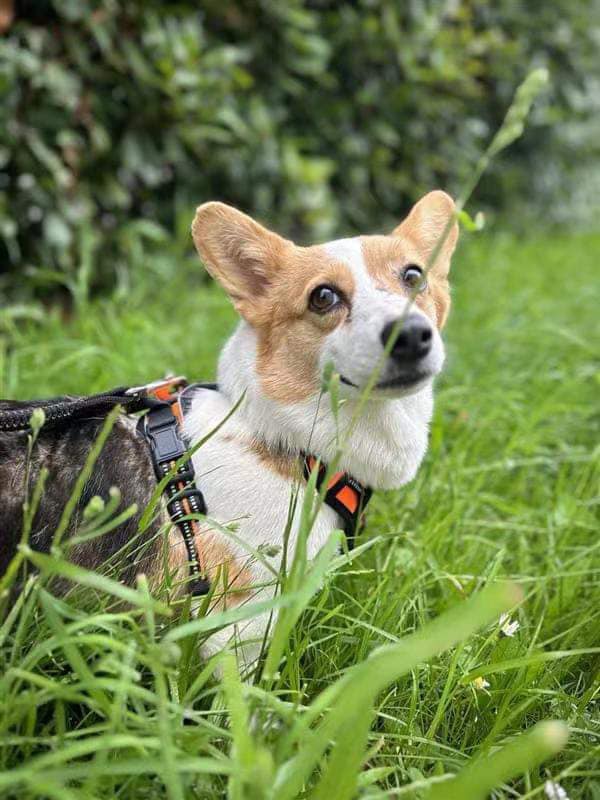 424638269_1039783120968333_7740419250221961084_n