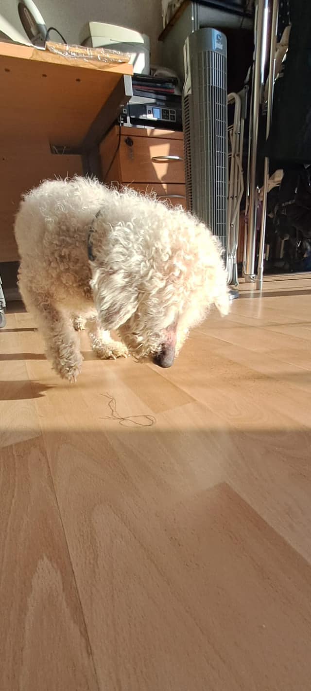 437579268_1017009599912352_3621237174623410797_n