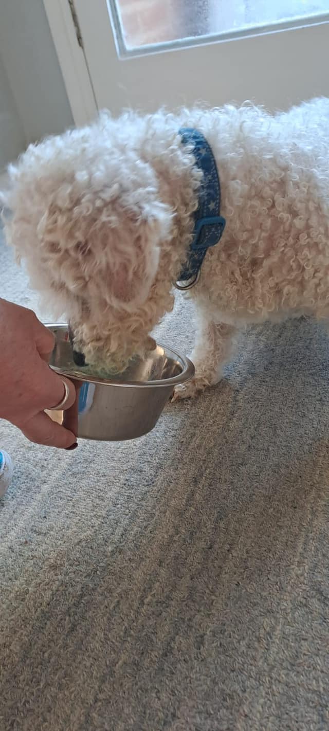 438059090_1017580376521941_6425808623439658206_n