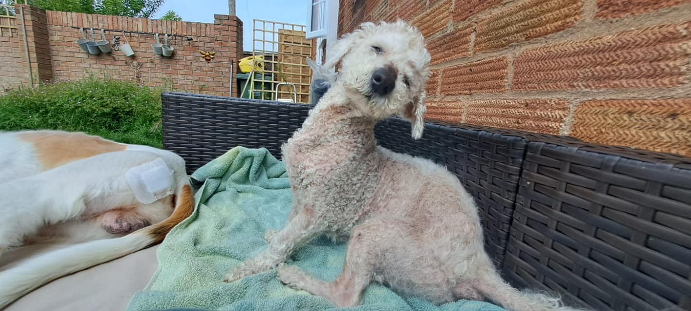 438173073_1032671575012821_210678282681168994_n