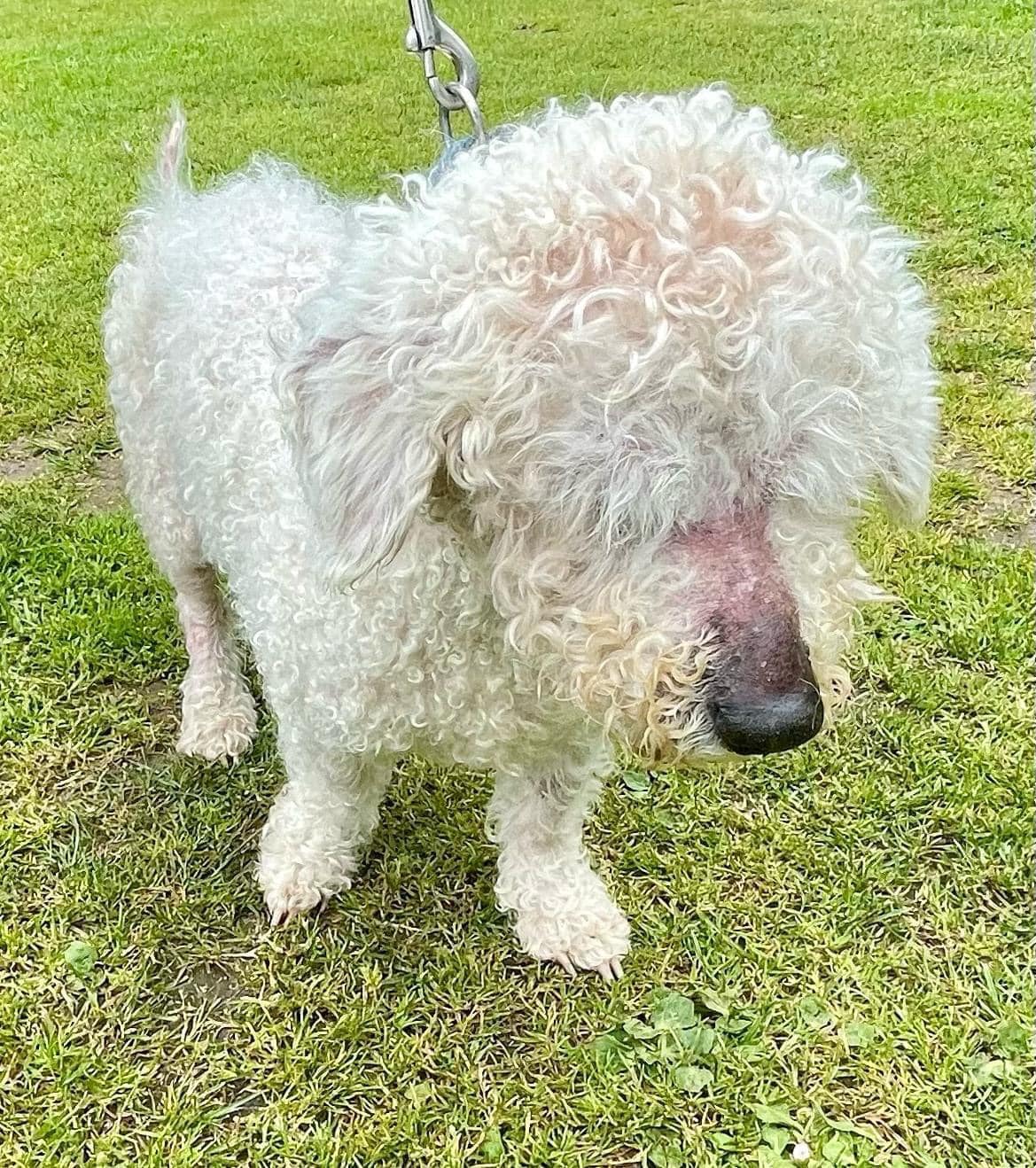 438225104_1016404333306212_7053690244751236638_n