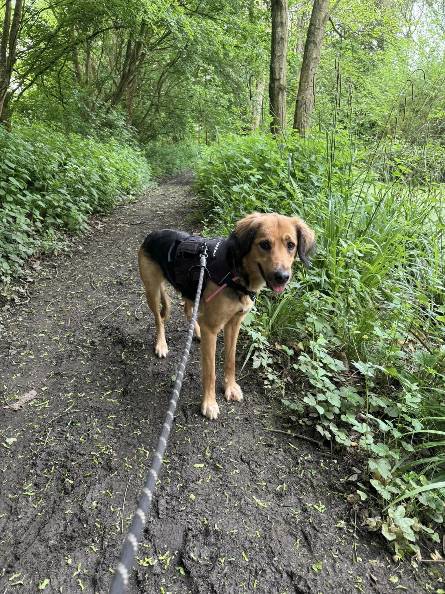 438239316_1033127191633926_3267173698035784607_n