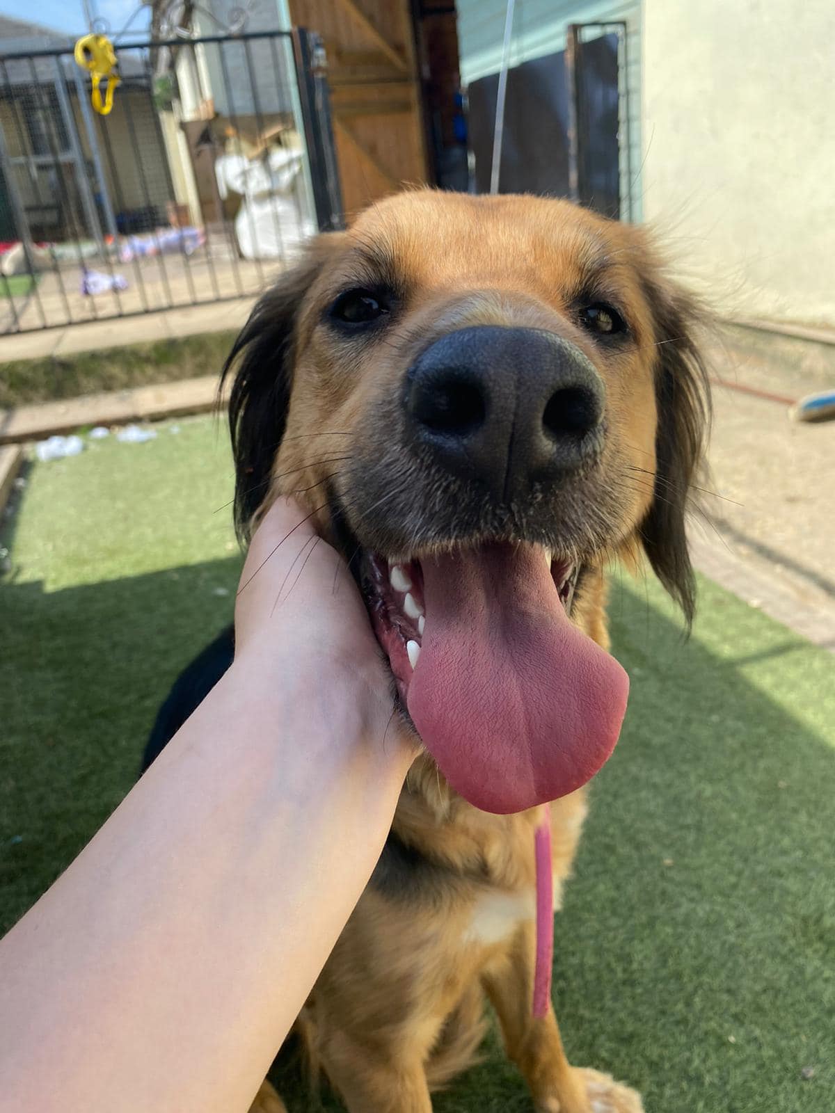 439259571_1031816028431709_699754819169886501_n