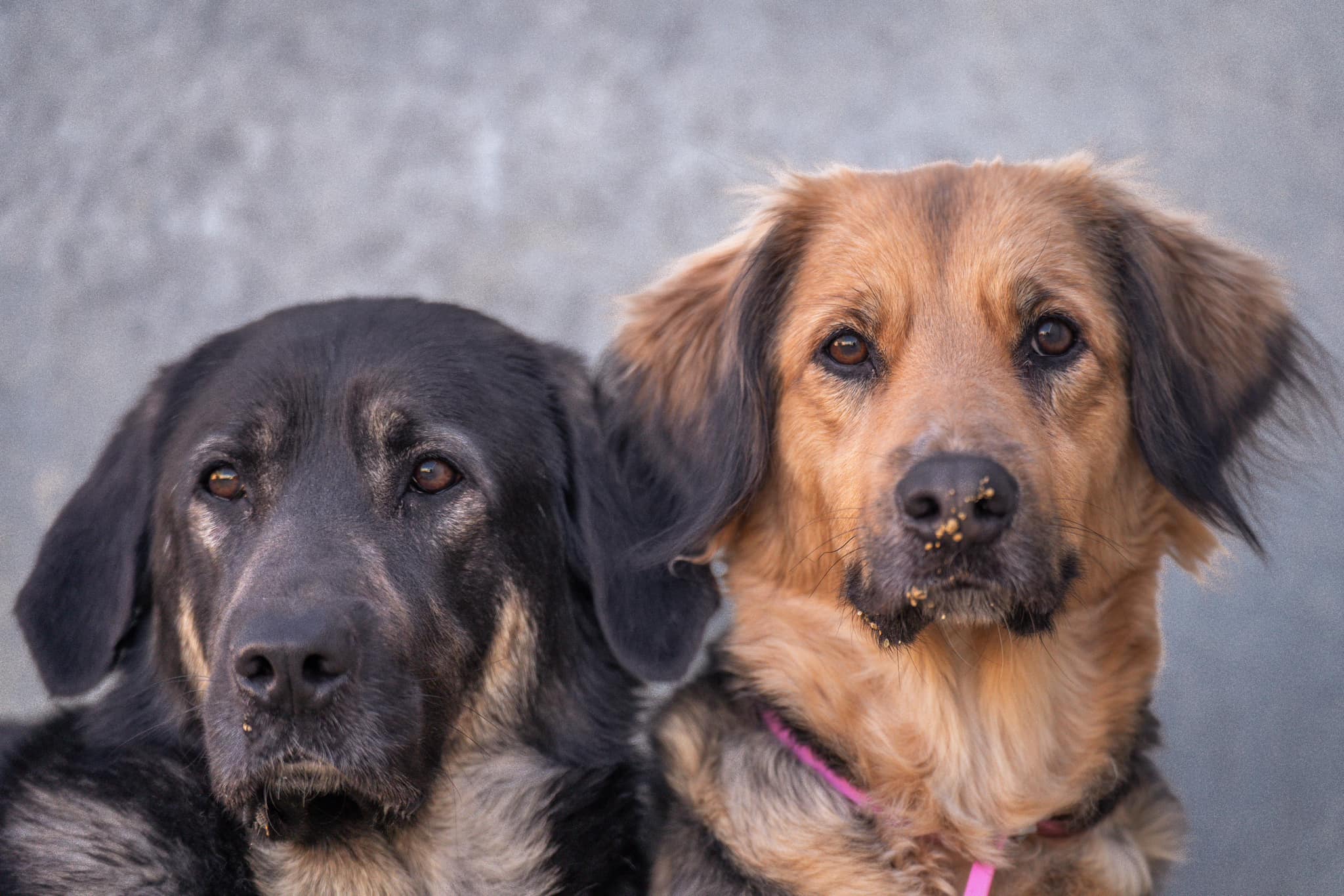 441223754_1036158814664097_342355633319990464_n (1)