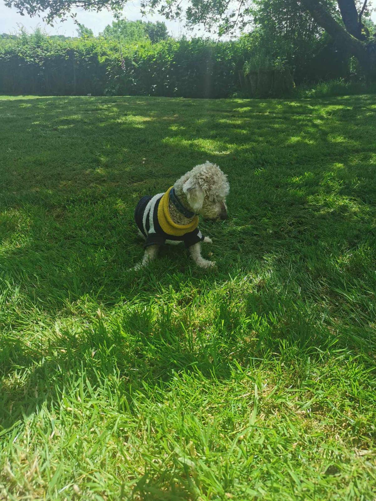 441925962_1051024573177521_5577351111313781814_n