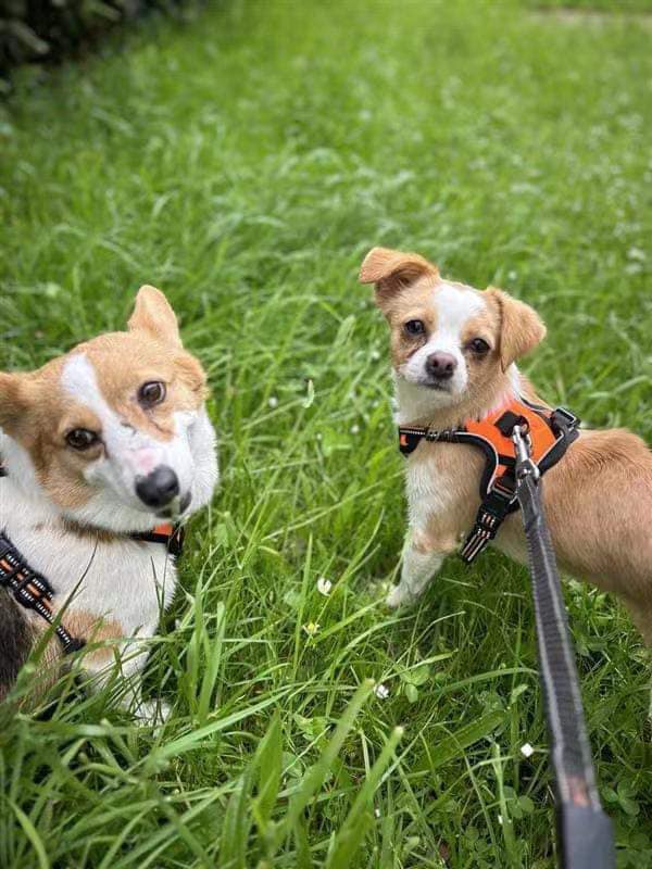 443697928_1039783190968326_5028557587636415313_n