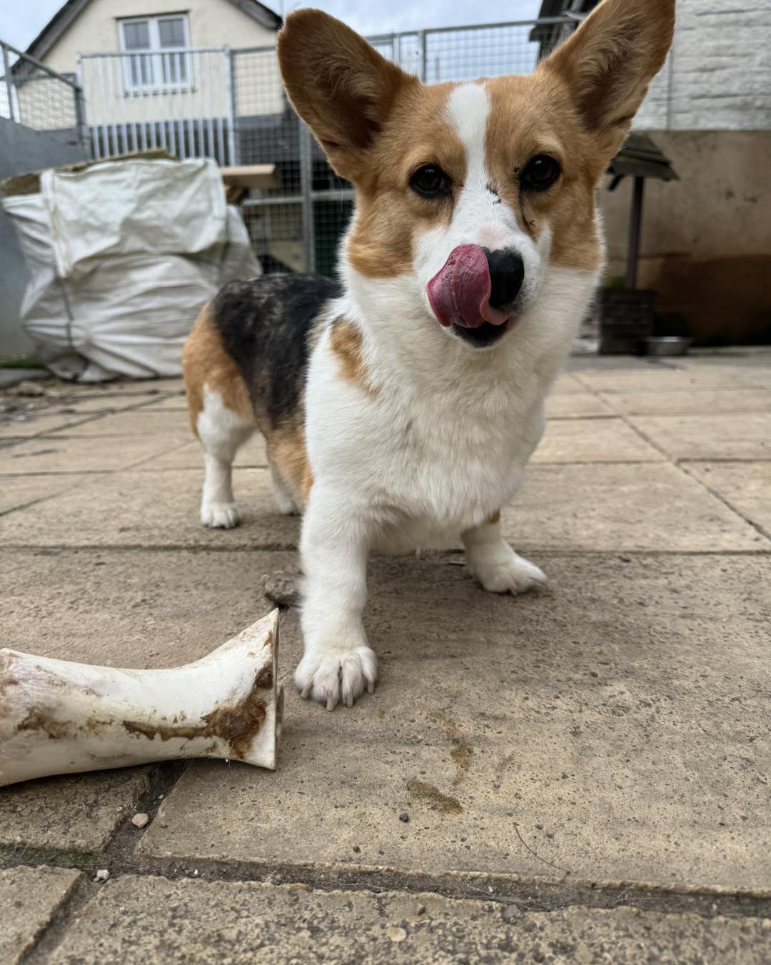 444190701_1040741764205802_3767451914436354267_n