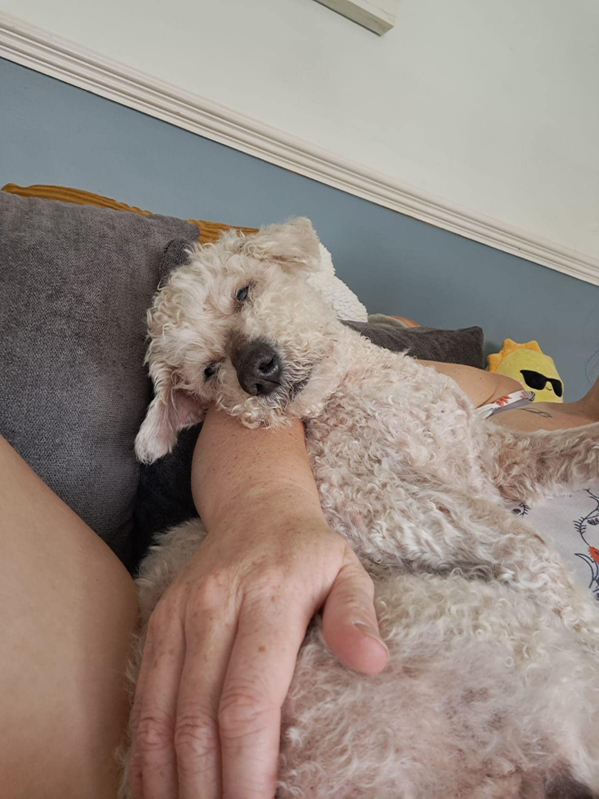 445226803_1045361120410533_850961330186564030_n