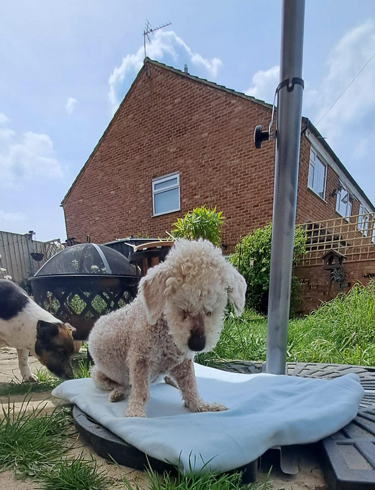 445355735_1045360980410547_967368334520042513_n