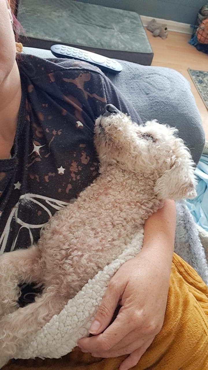 445365030_1045360957077216_6442042702871364154_n