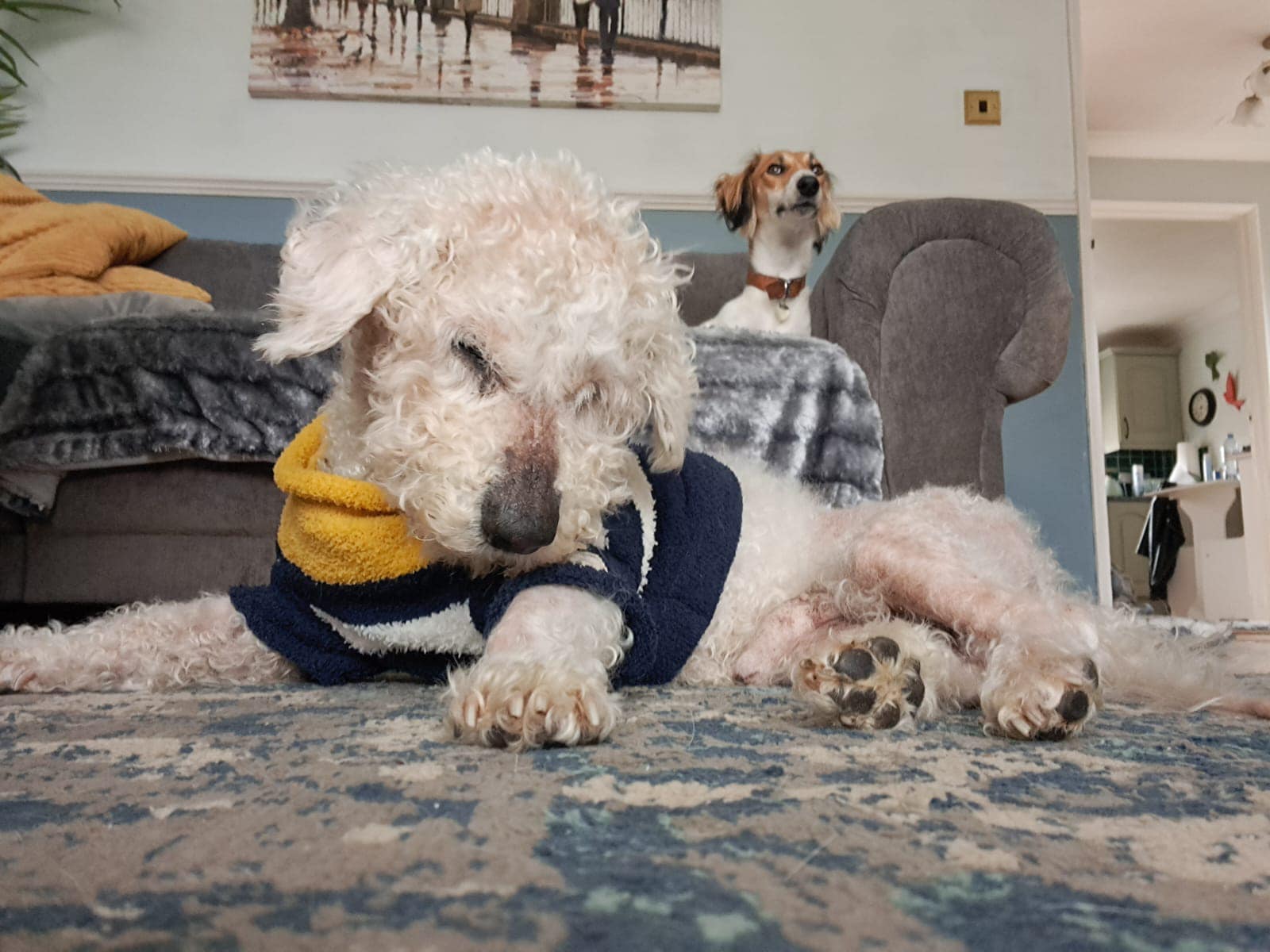 445454745_1045361007077211_8015008462278042489_n